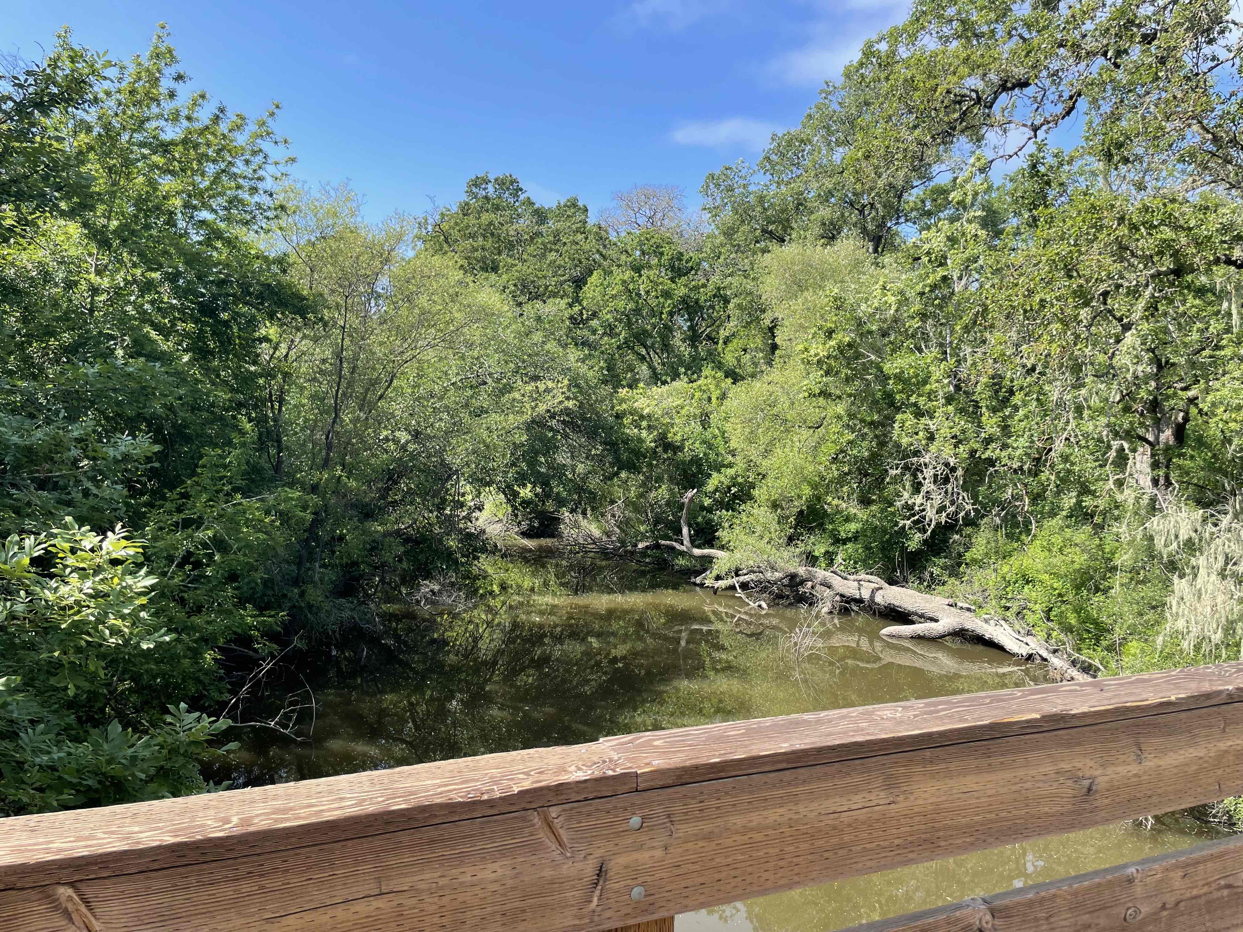Joe Rodota Trail