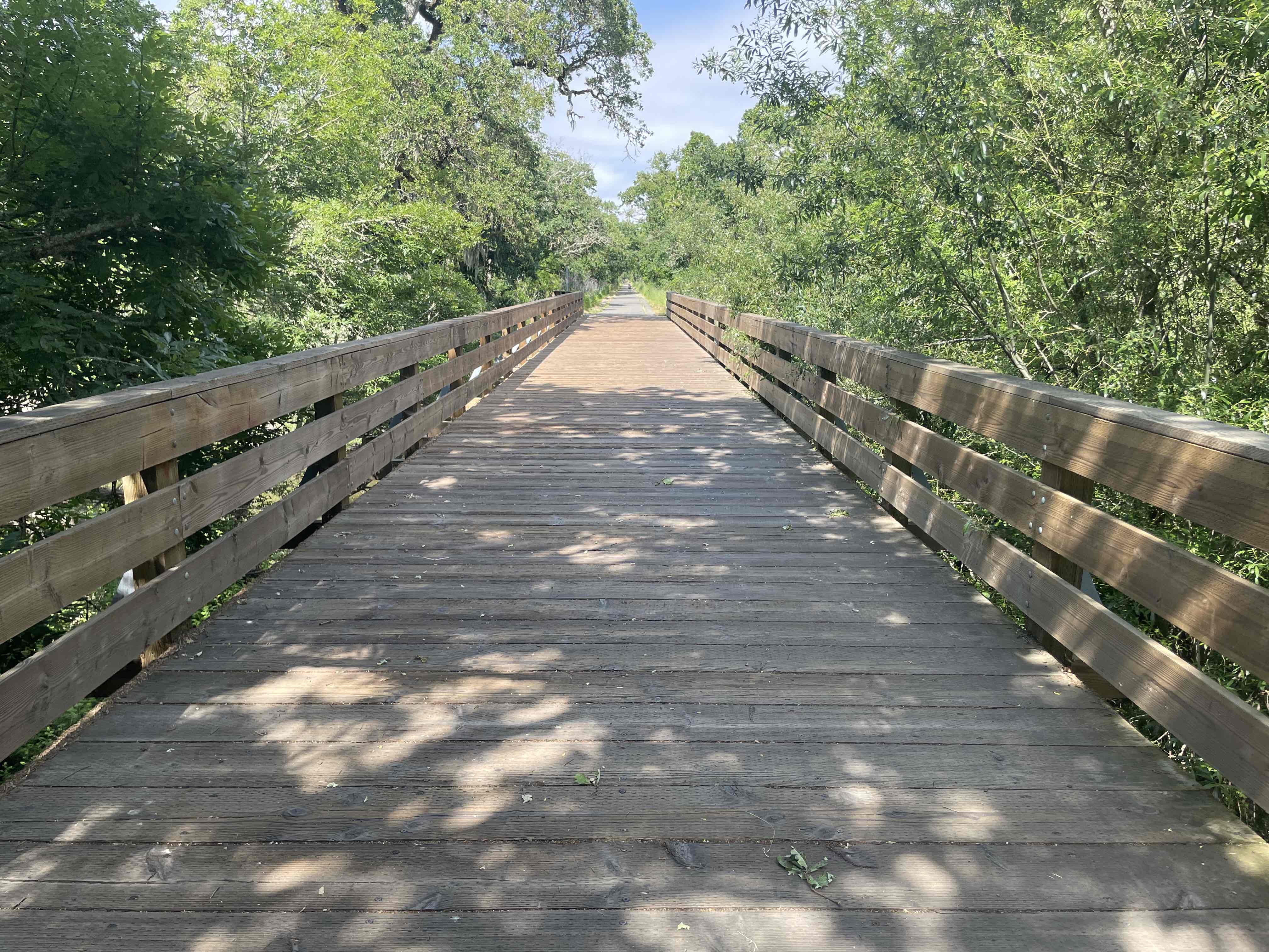 Joe Rodota Trail