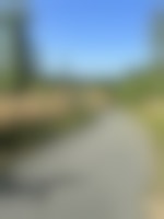 A gravel trail meanders through grasses and trees off into the distance.