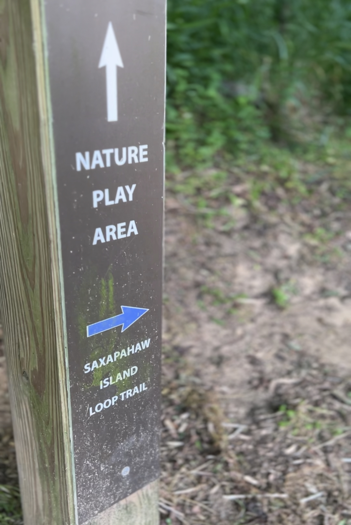 Saxapahaw Island Park