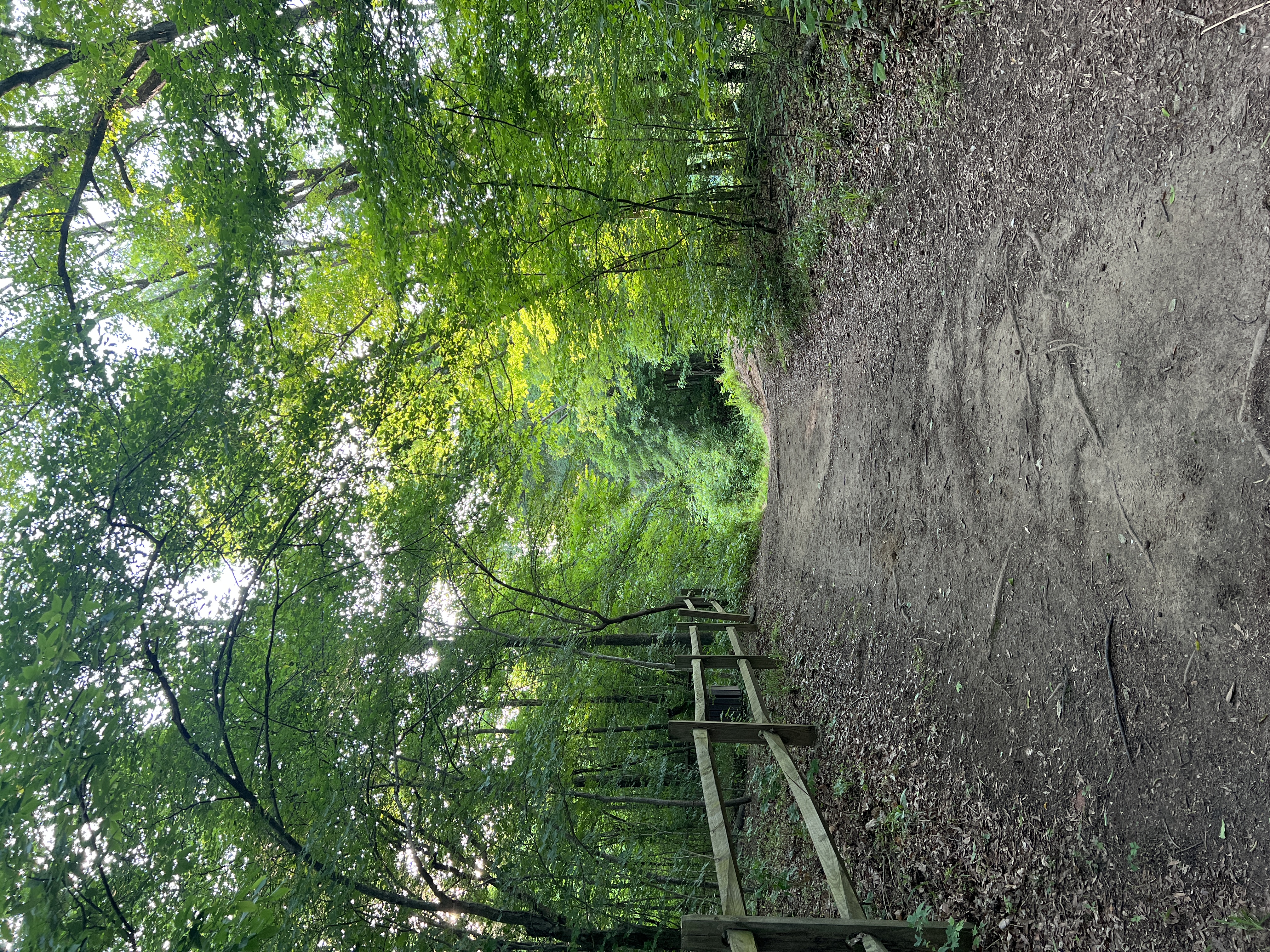 Saxapahaw Island Park
