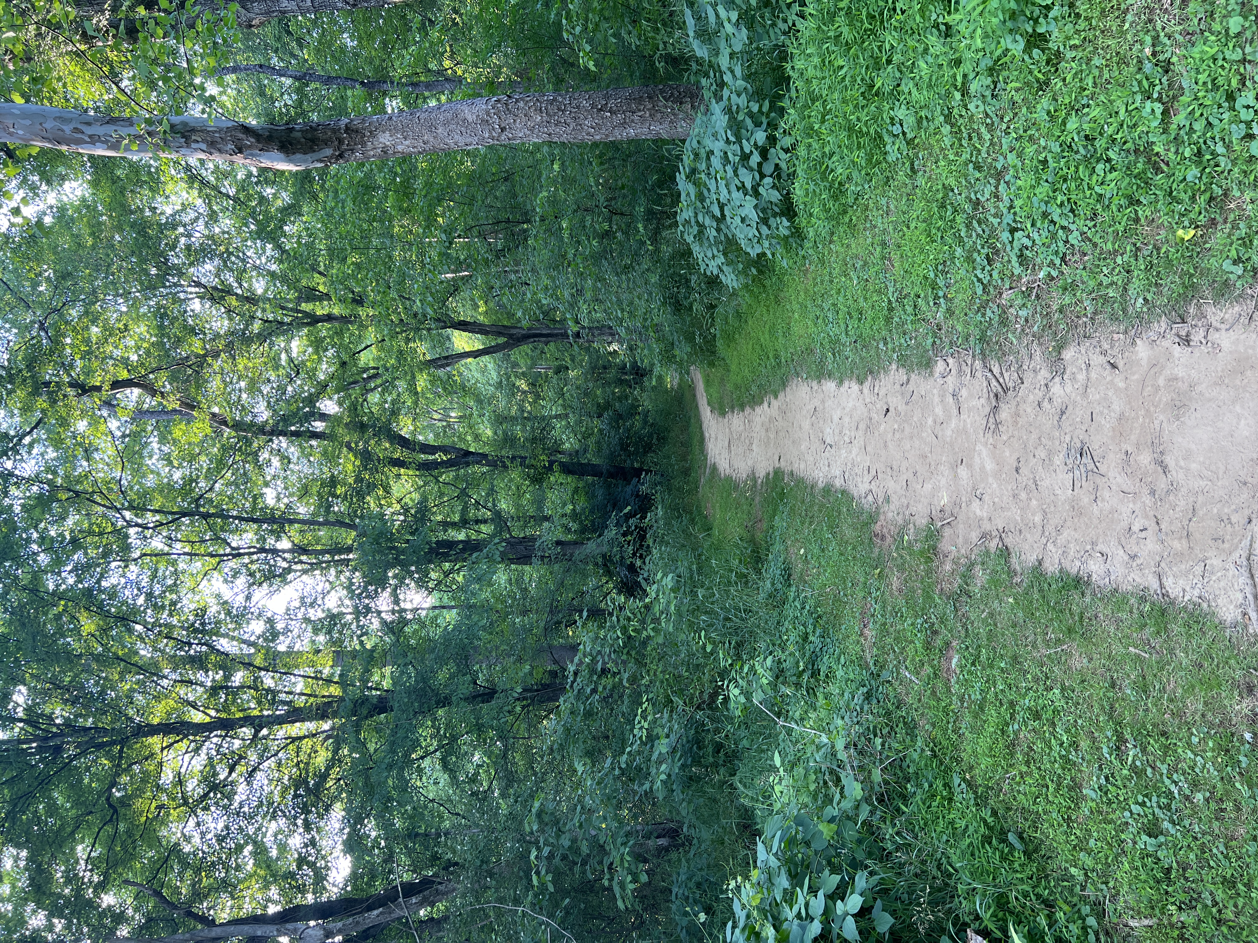 Saxapahaw Island Park