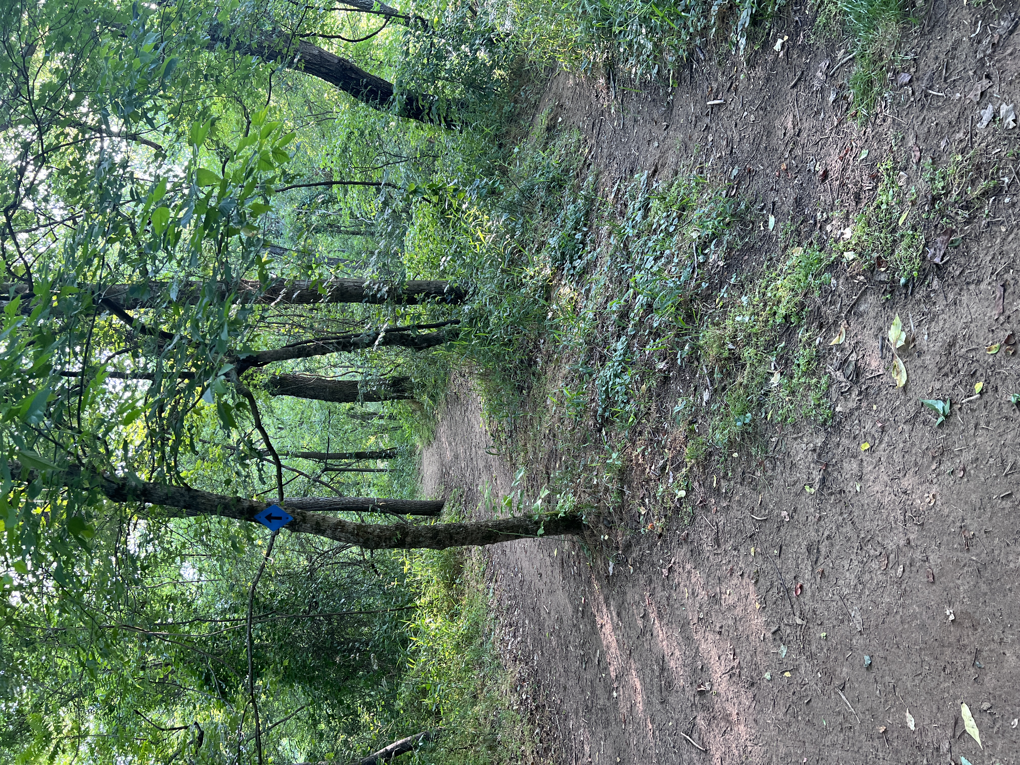 Saxapahaw Island Park