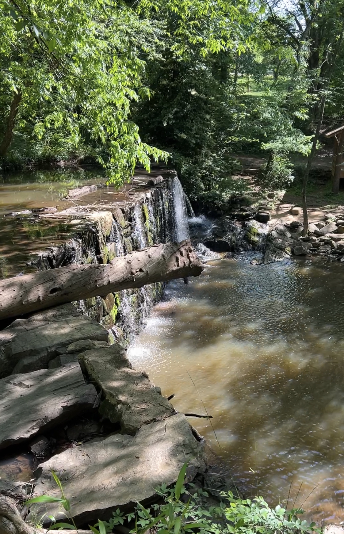 Rock Creek Trail