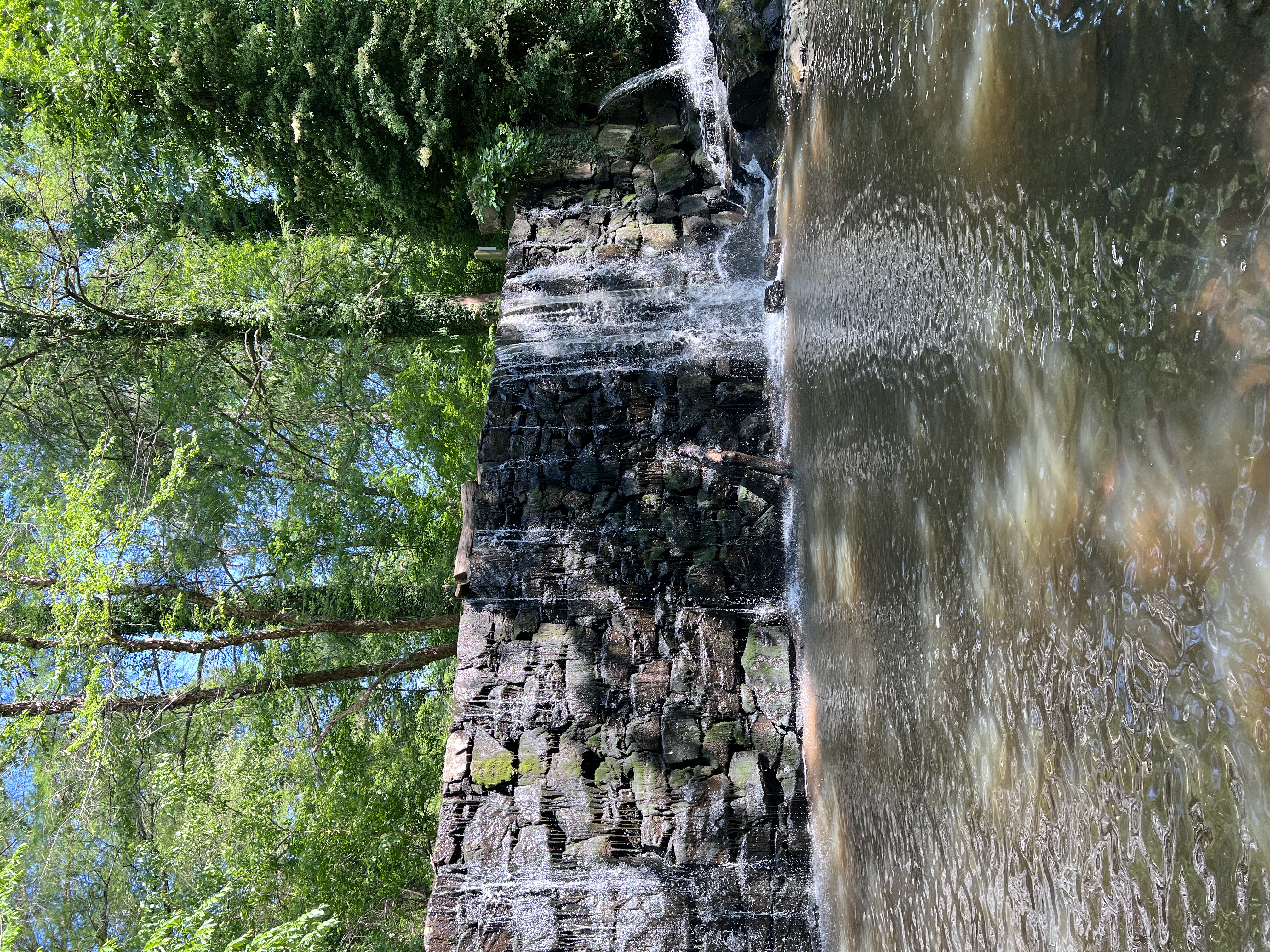 Rock Creek Trail