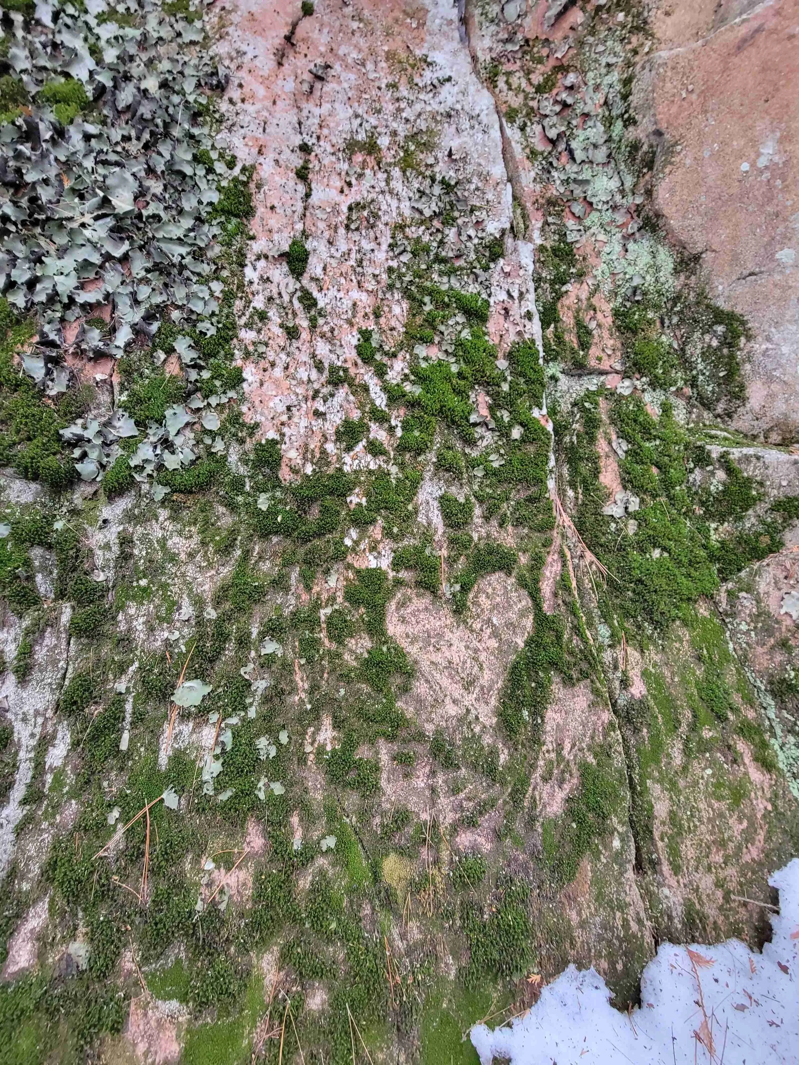 Explore Dave's Falls