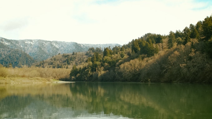 A green lake surrounded by evergreen trees with mountains in the background.