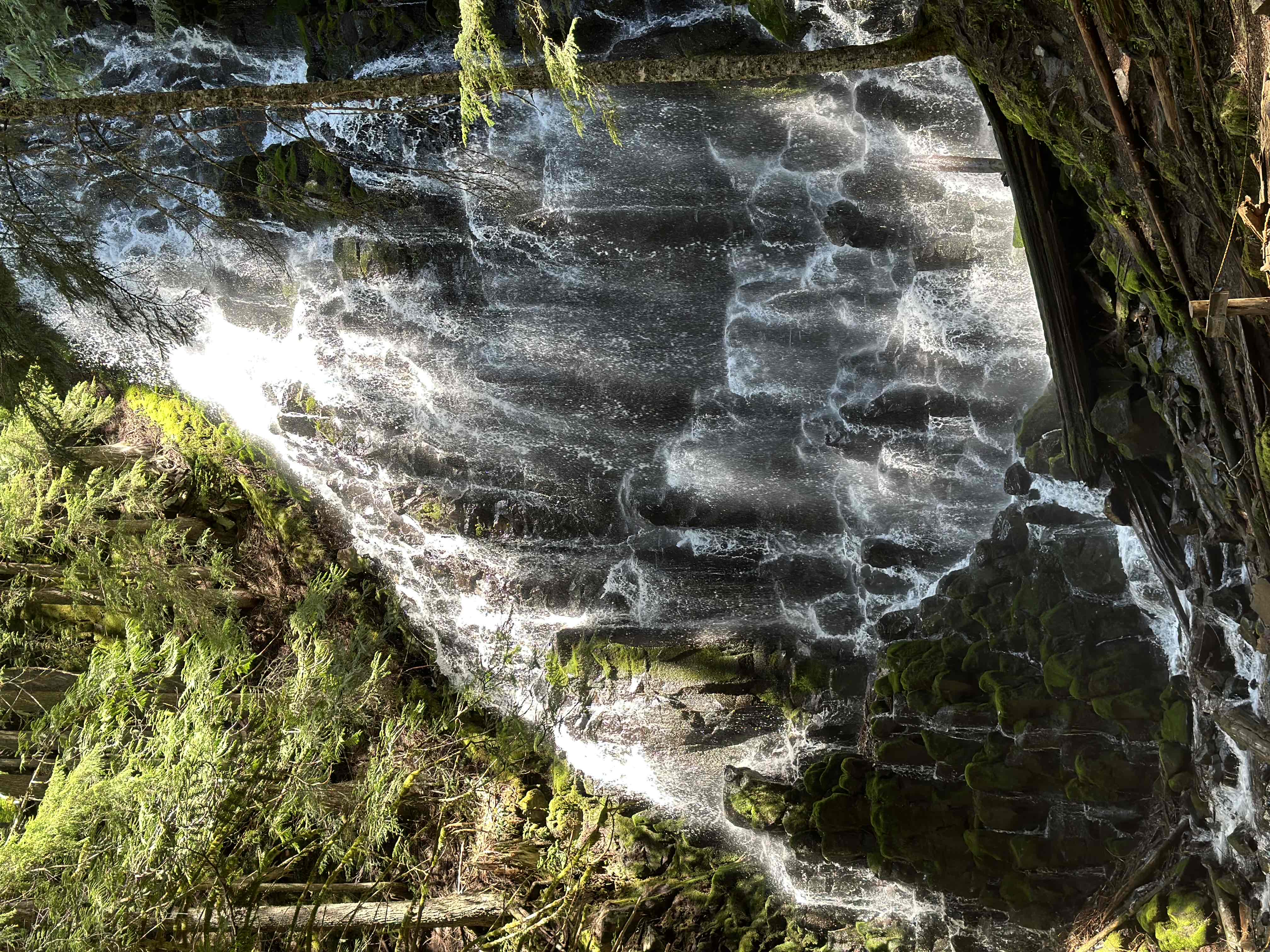 Ramona Falls Loop