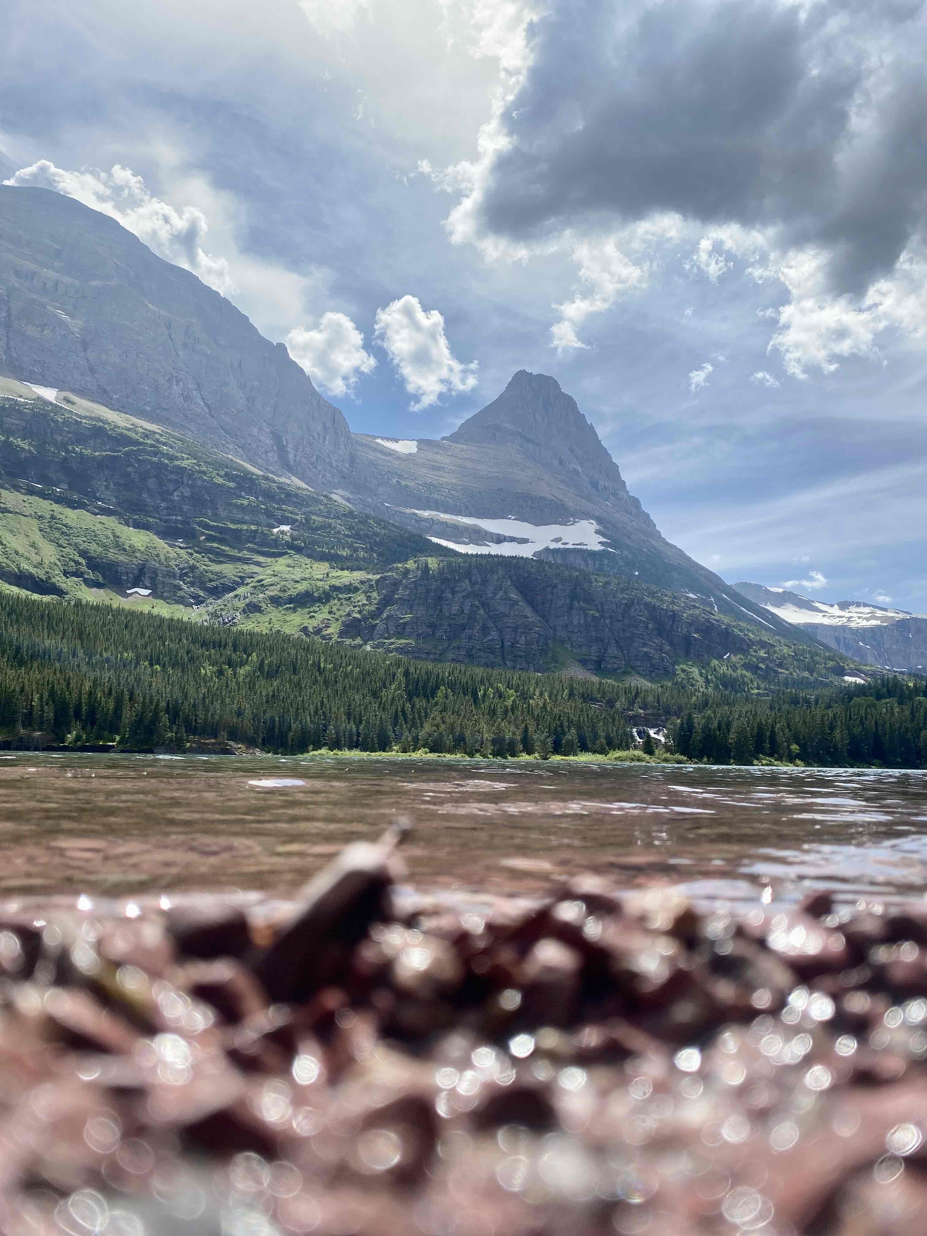 Walk the Swiftcurrent Nature Trail, Glacier National Park