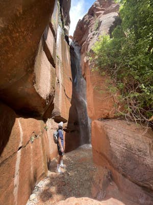 Middle Fork Taylor Creek in Kolob Canyon