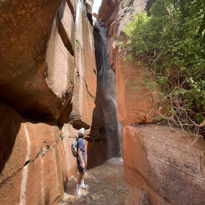 Middle Fork Taylor Creek in Kolob Canyon