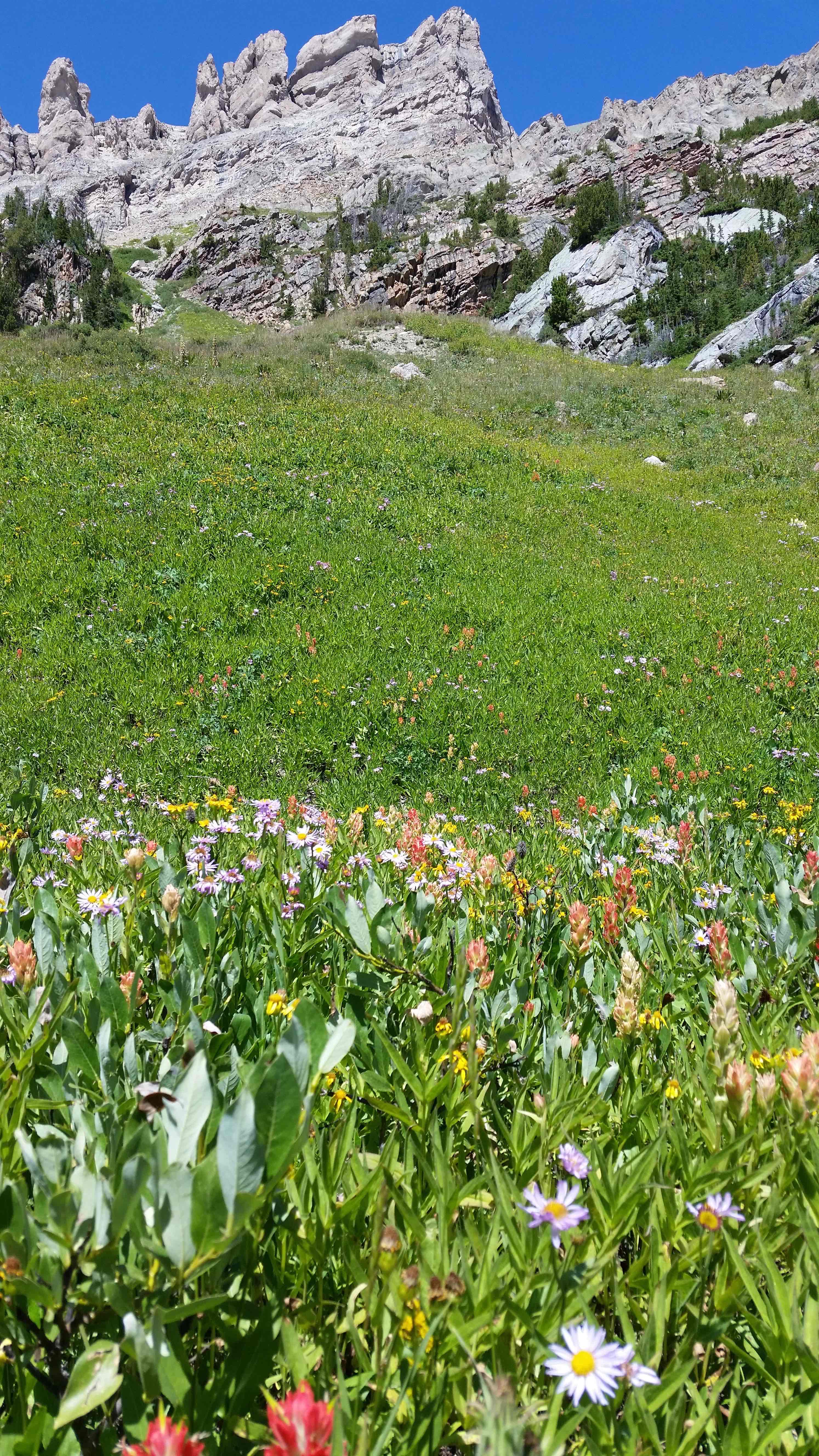 Hike to Shirley Lake