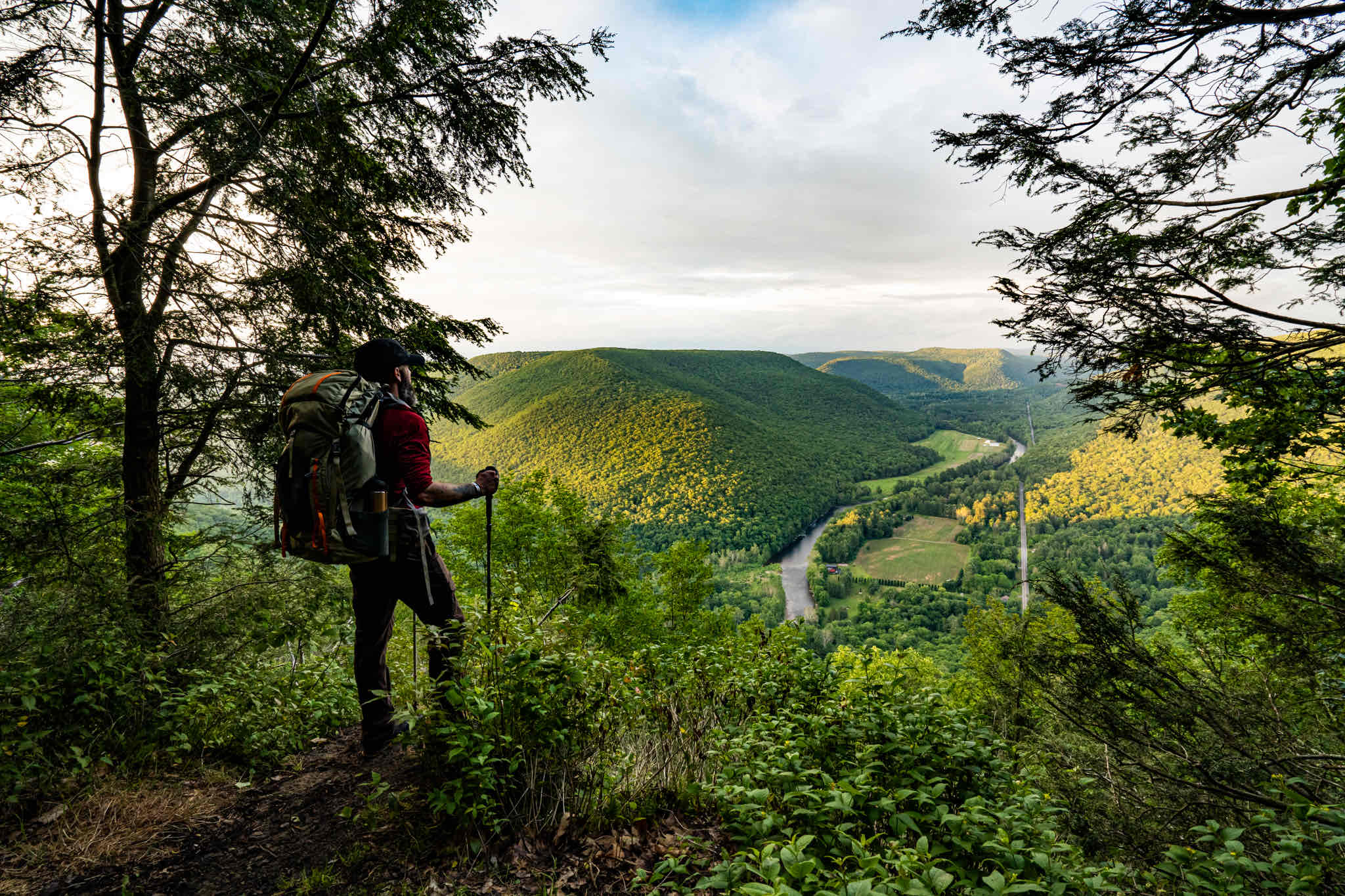 Hike Smith's Knob Hike via the Loyalsock Trail