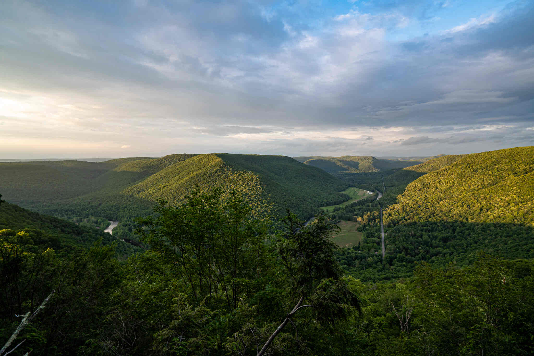 Hike Smith's Knob Hike via the Loyalsock Trail