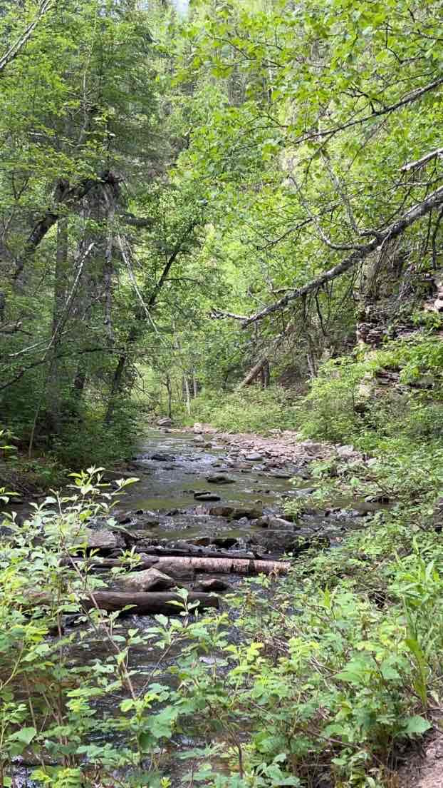 Hike to Devil's Bathtub, Black Hills National Forest