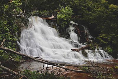 Hike to Morgan Creek Falls 