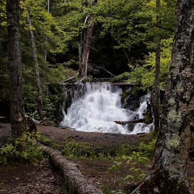 Hike to Morgan Creek Falls 