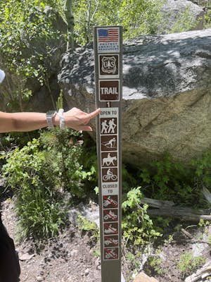 Mount Royal Trail