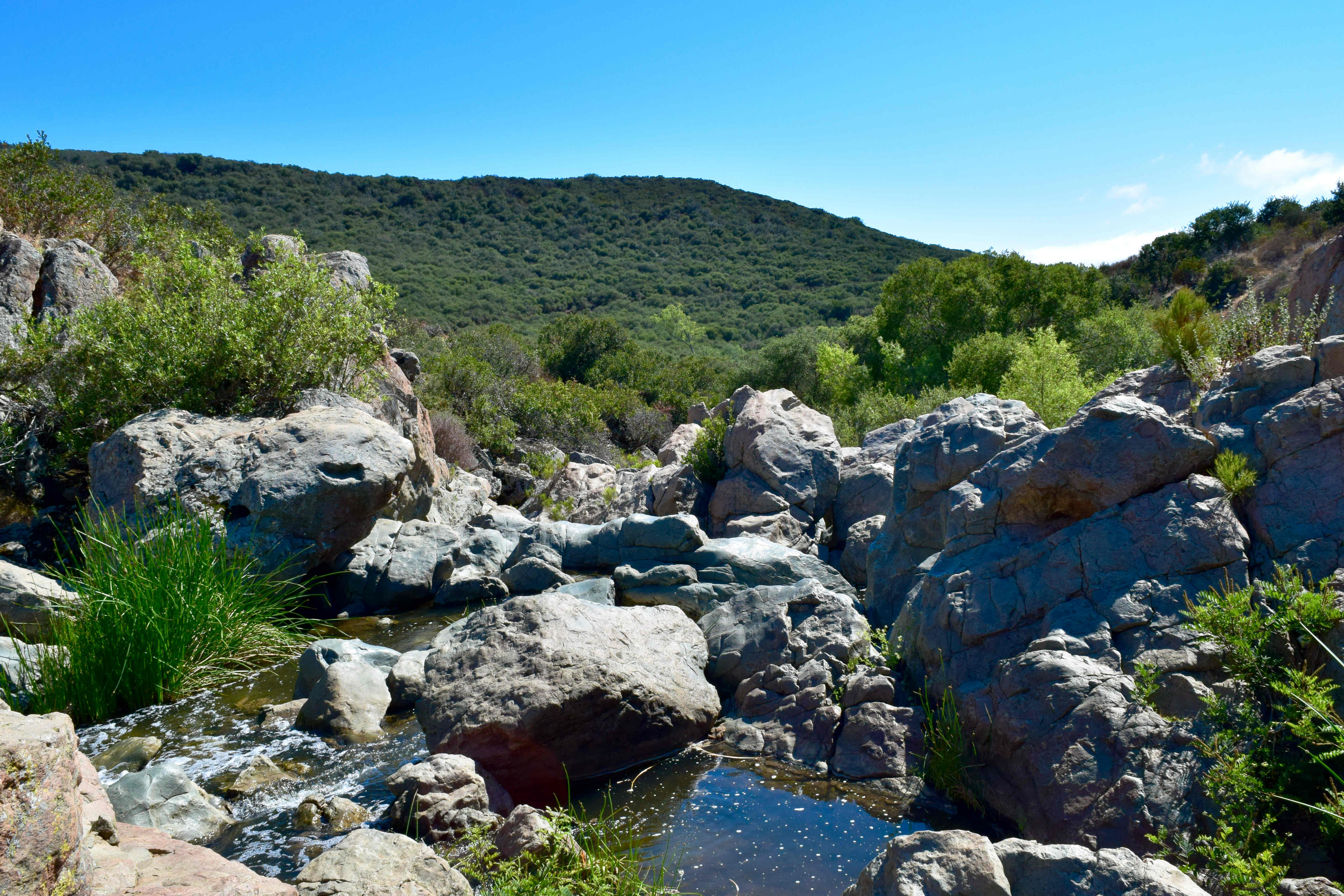 Los Penasquitos Canyon Loop