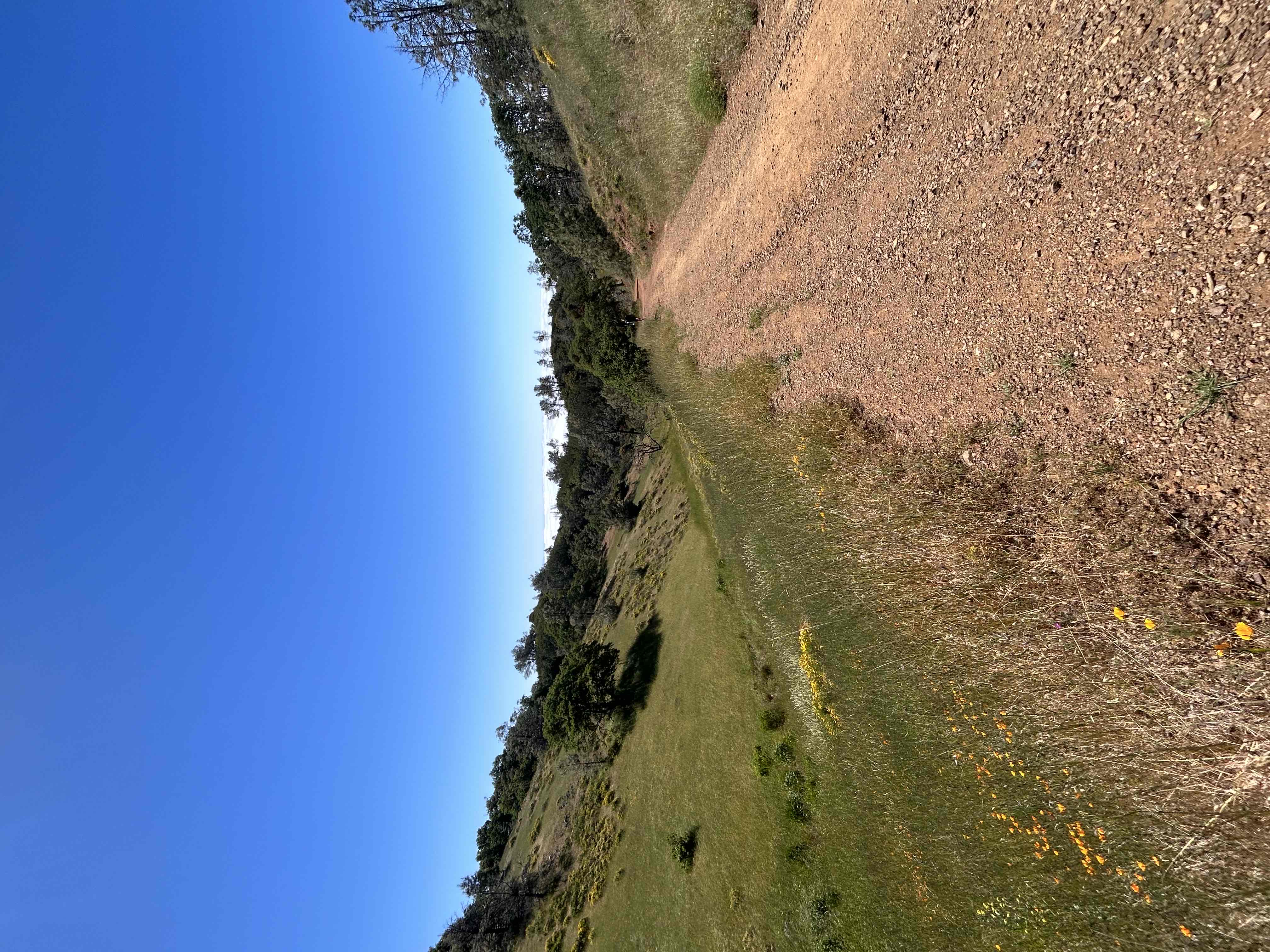 Summit Mount Diablo via Rock City Trail 