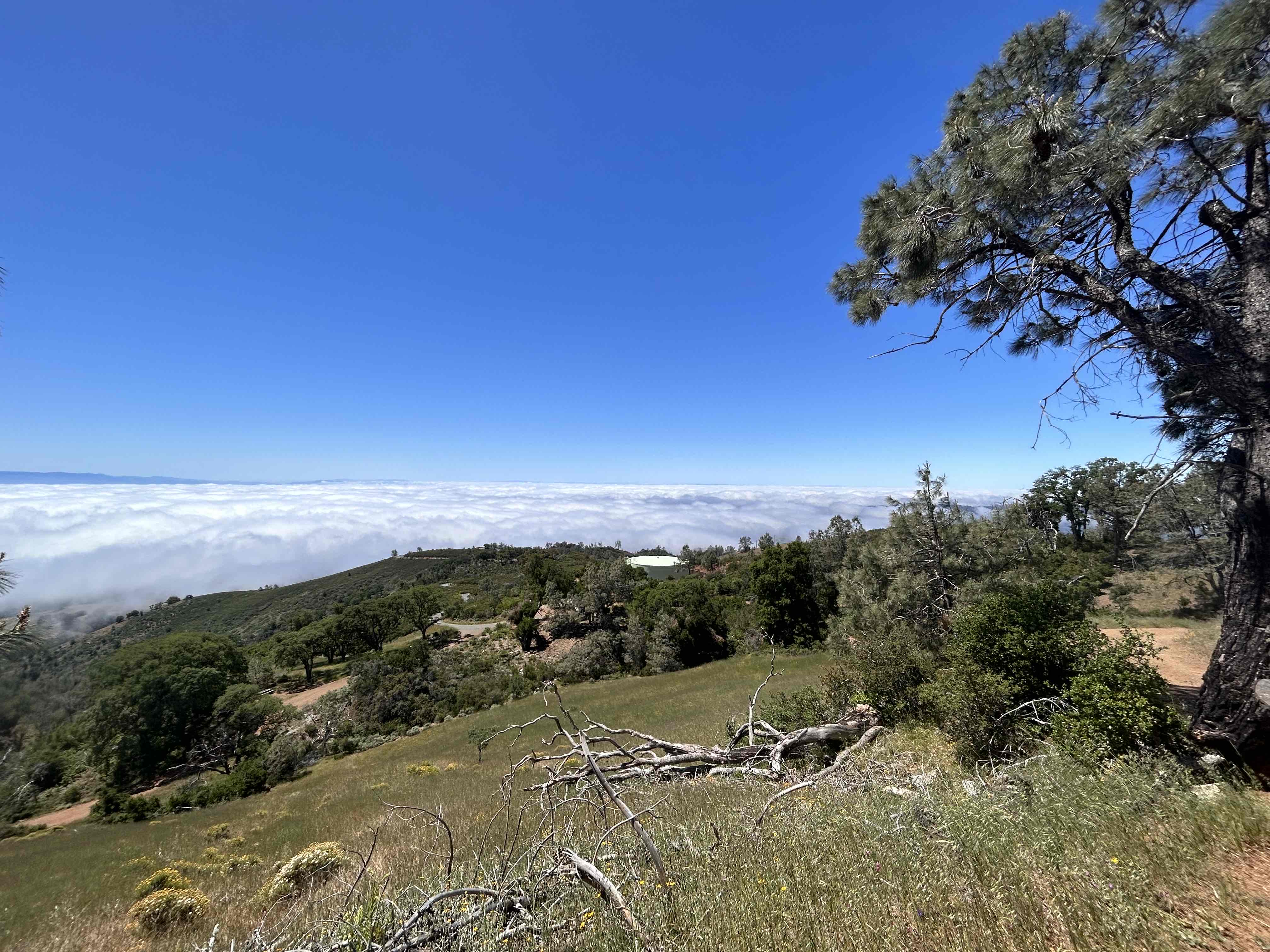 Summit Mount Diablo via Rock City Trail 