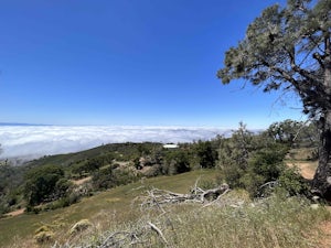 Summit Mount Diablo via Rock City Trail 