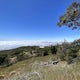 Summit Mount Diablo via Rock City Trail 