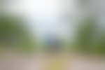 Three young kids are standing on a rocky area looking out over a lake surrounded by evergreen trees.