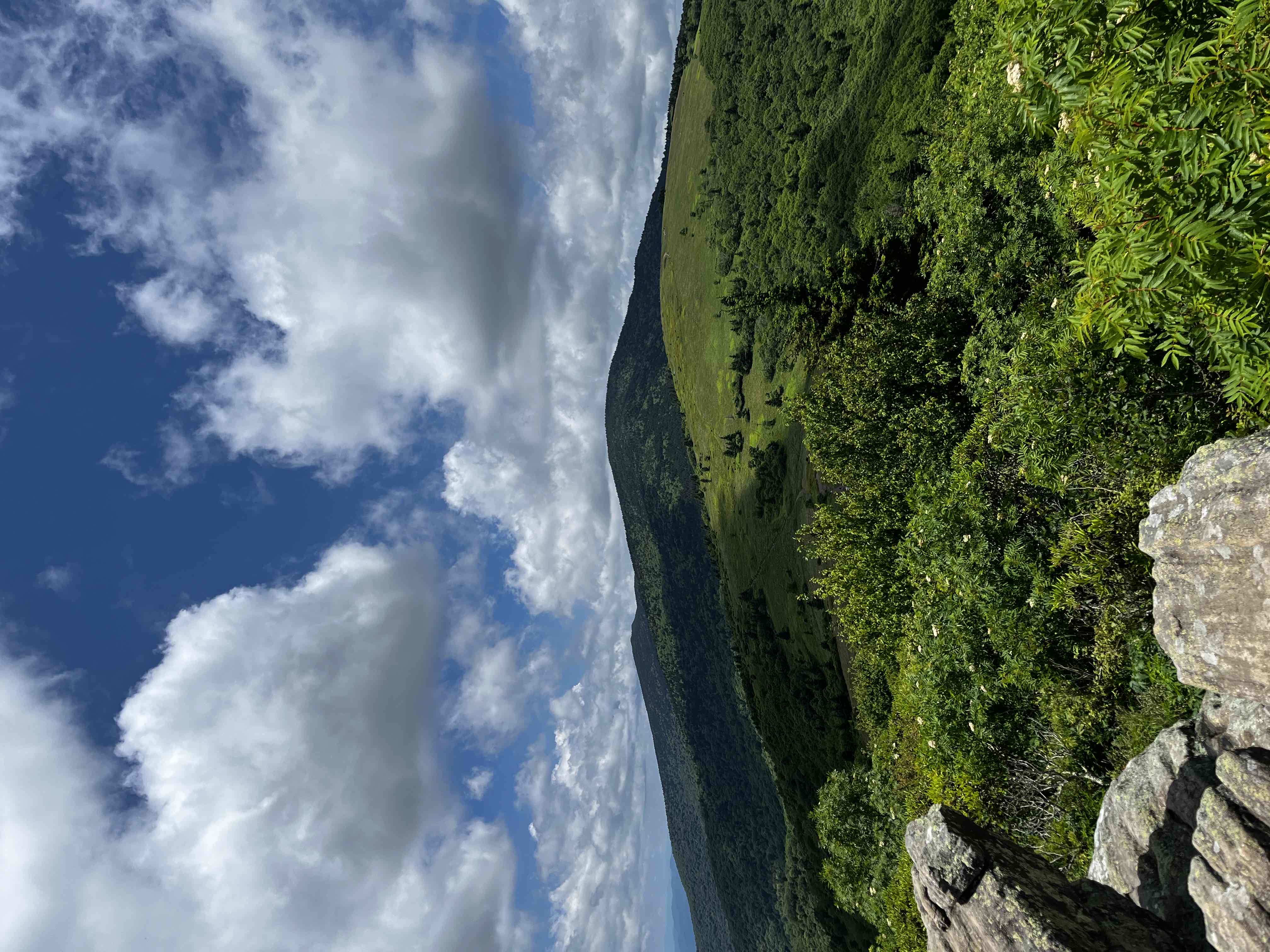 Jane Bald via Appalachian Trail