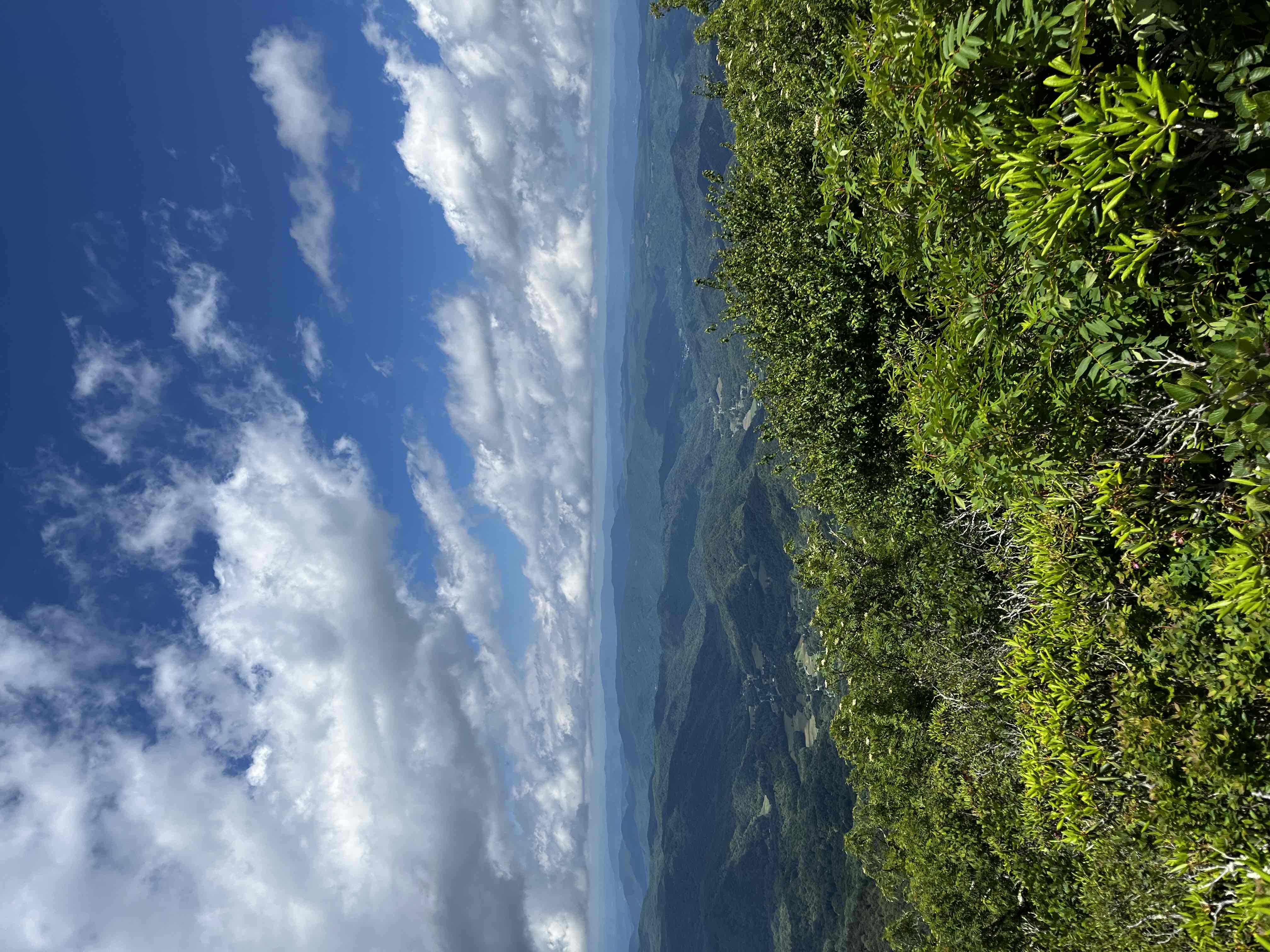 Jane Bald via Appalachian Trail