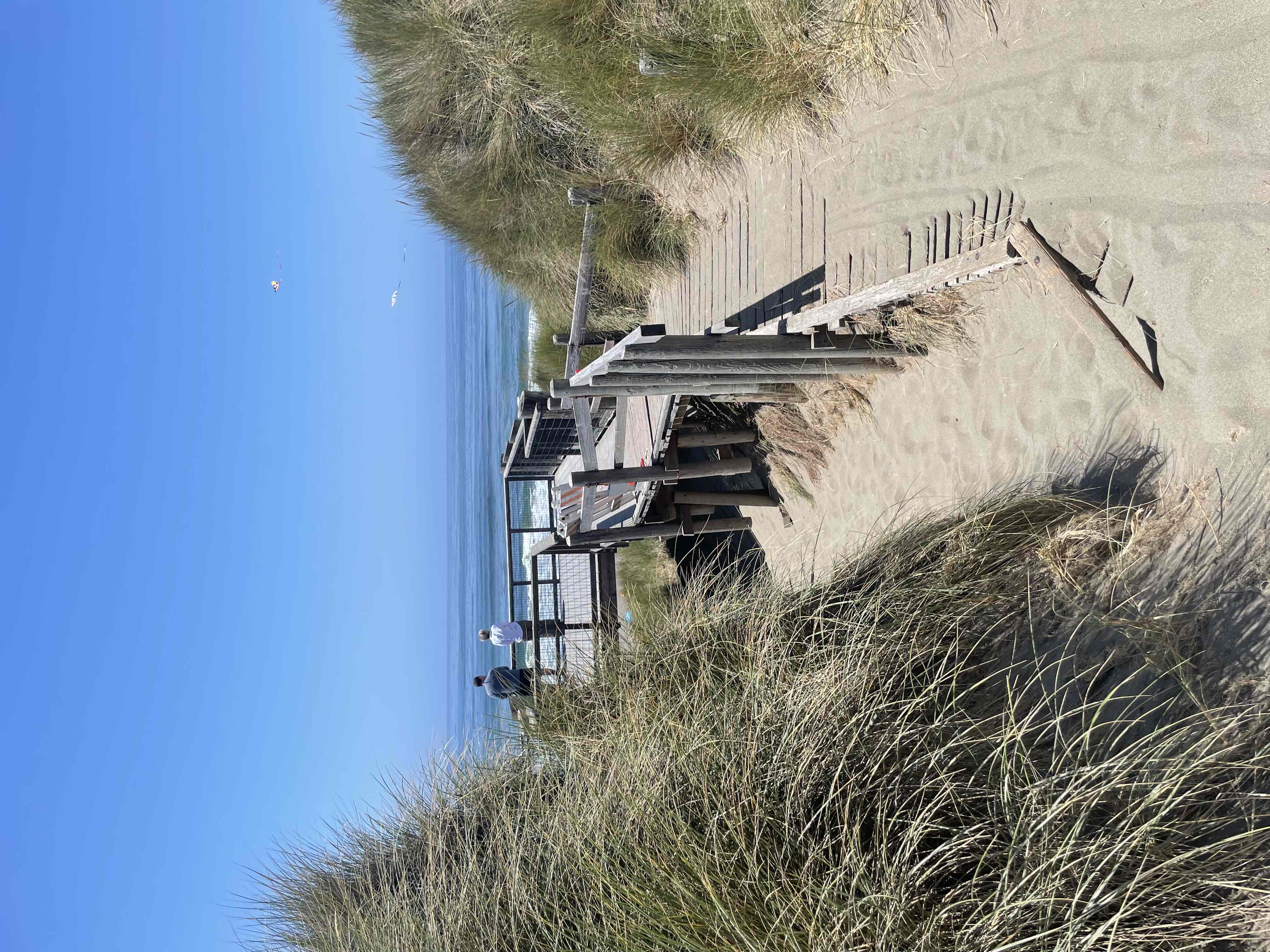 Bodega Dunes Beach