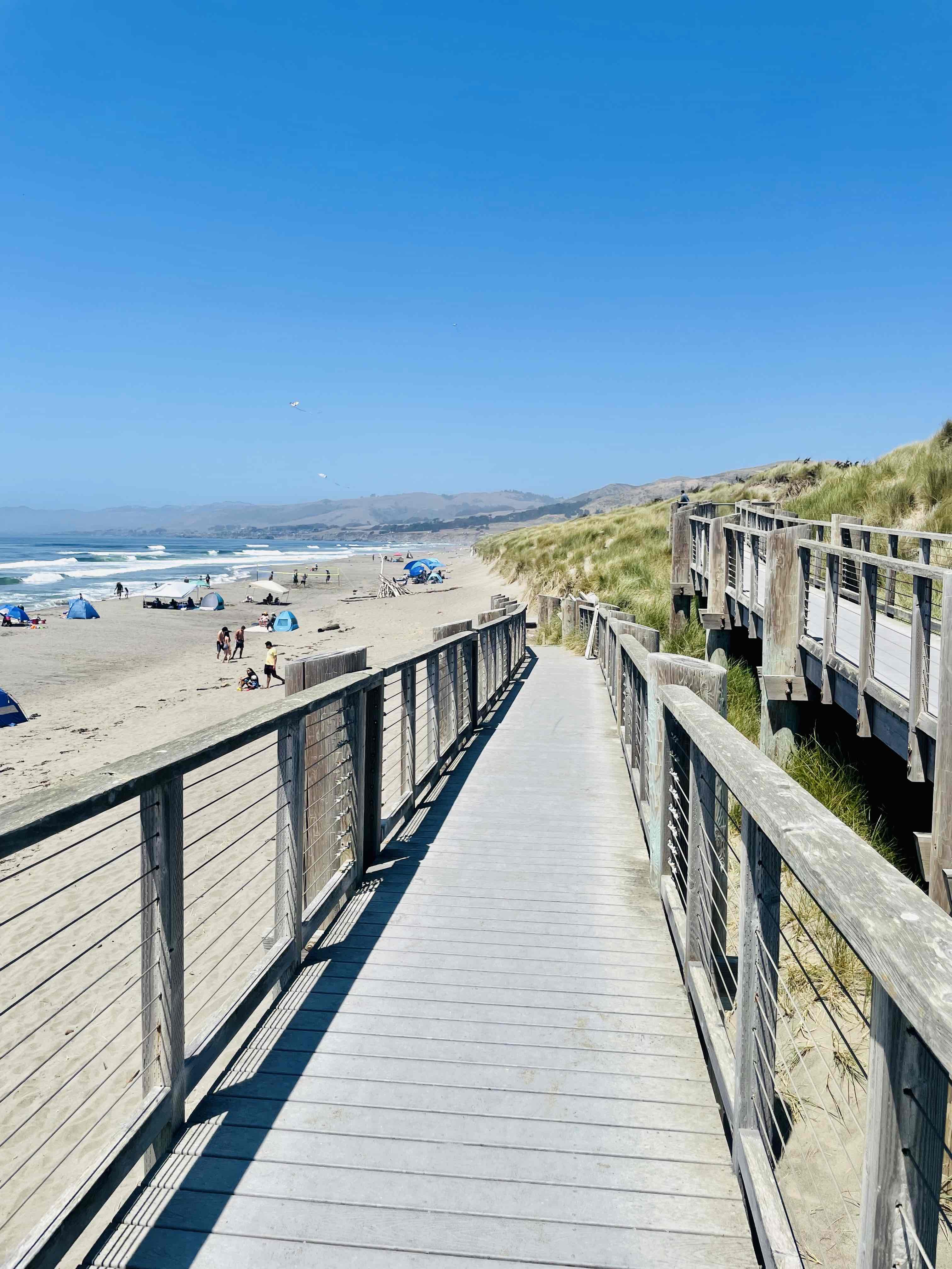 Bodega Dunes Beach