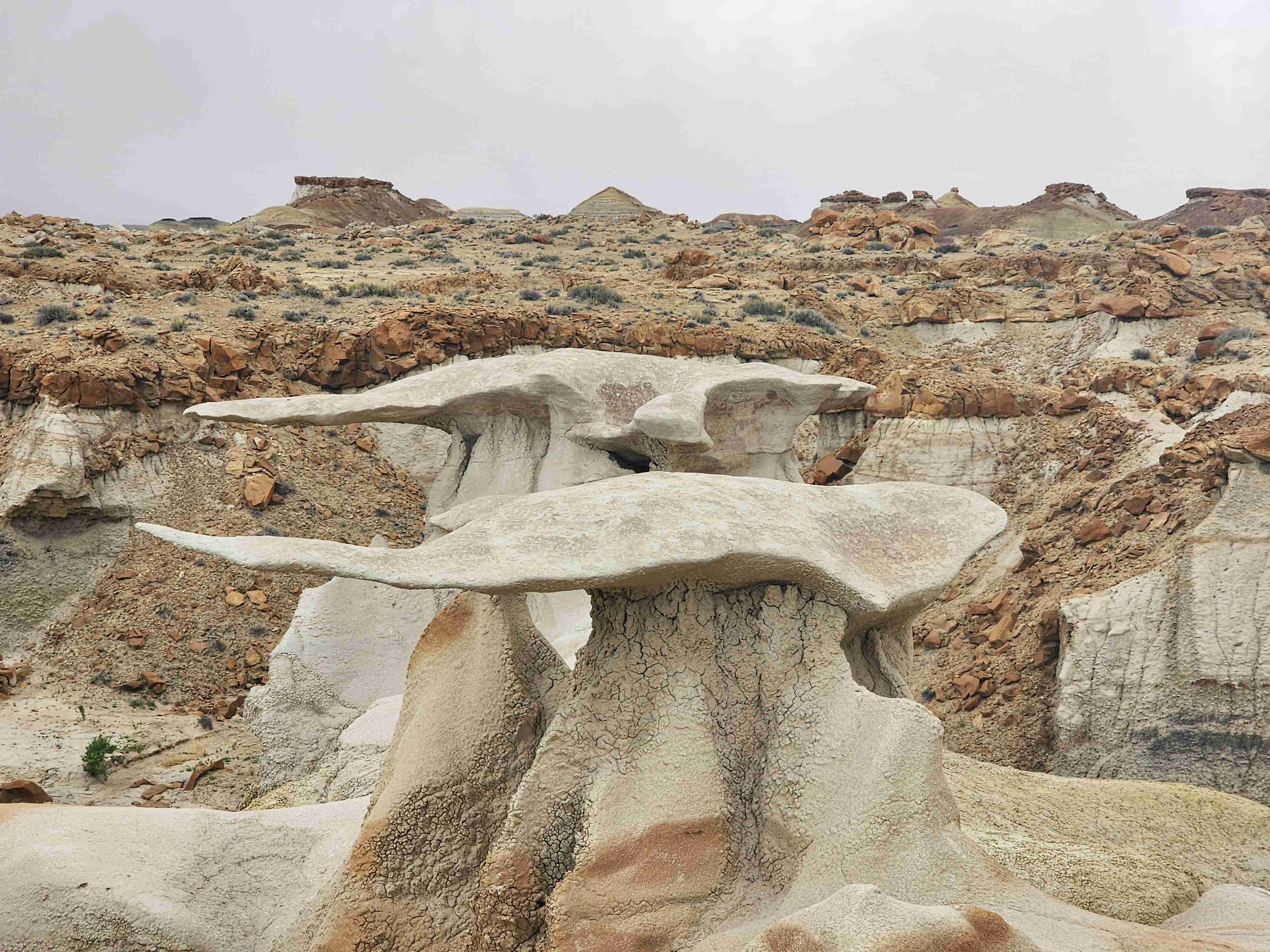 Bisti Badlands Trail