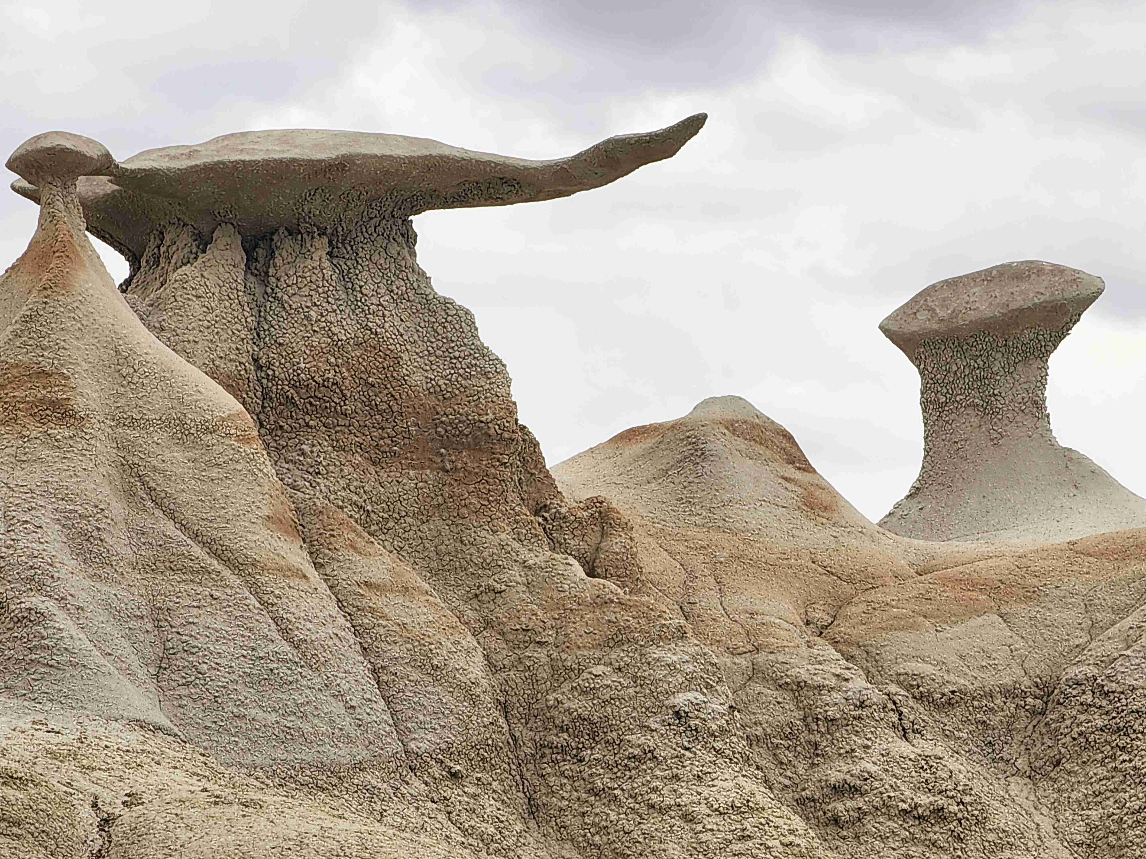Bisti Badlands Trail