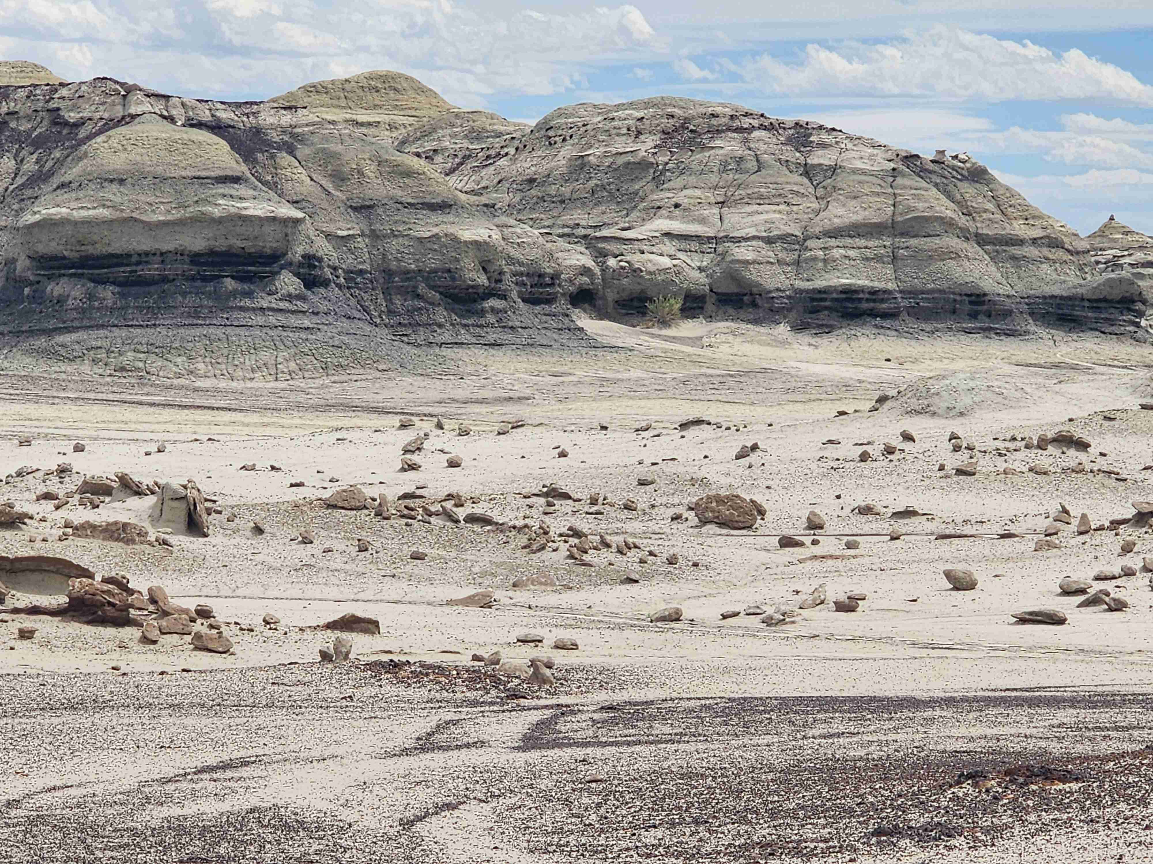 Bisti Badlands Trail
