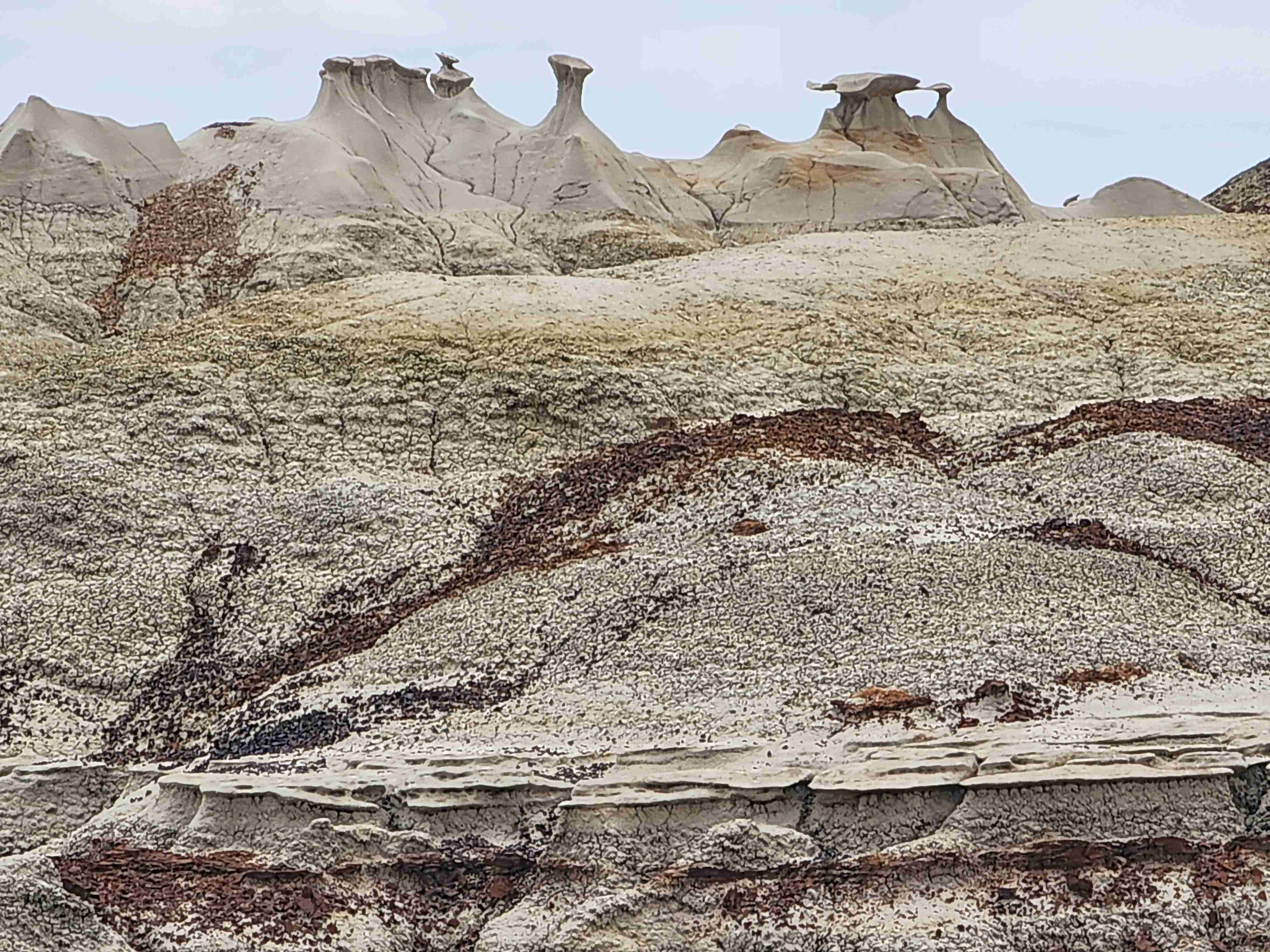 Bisti Badlands Trail