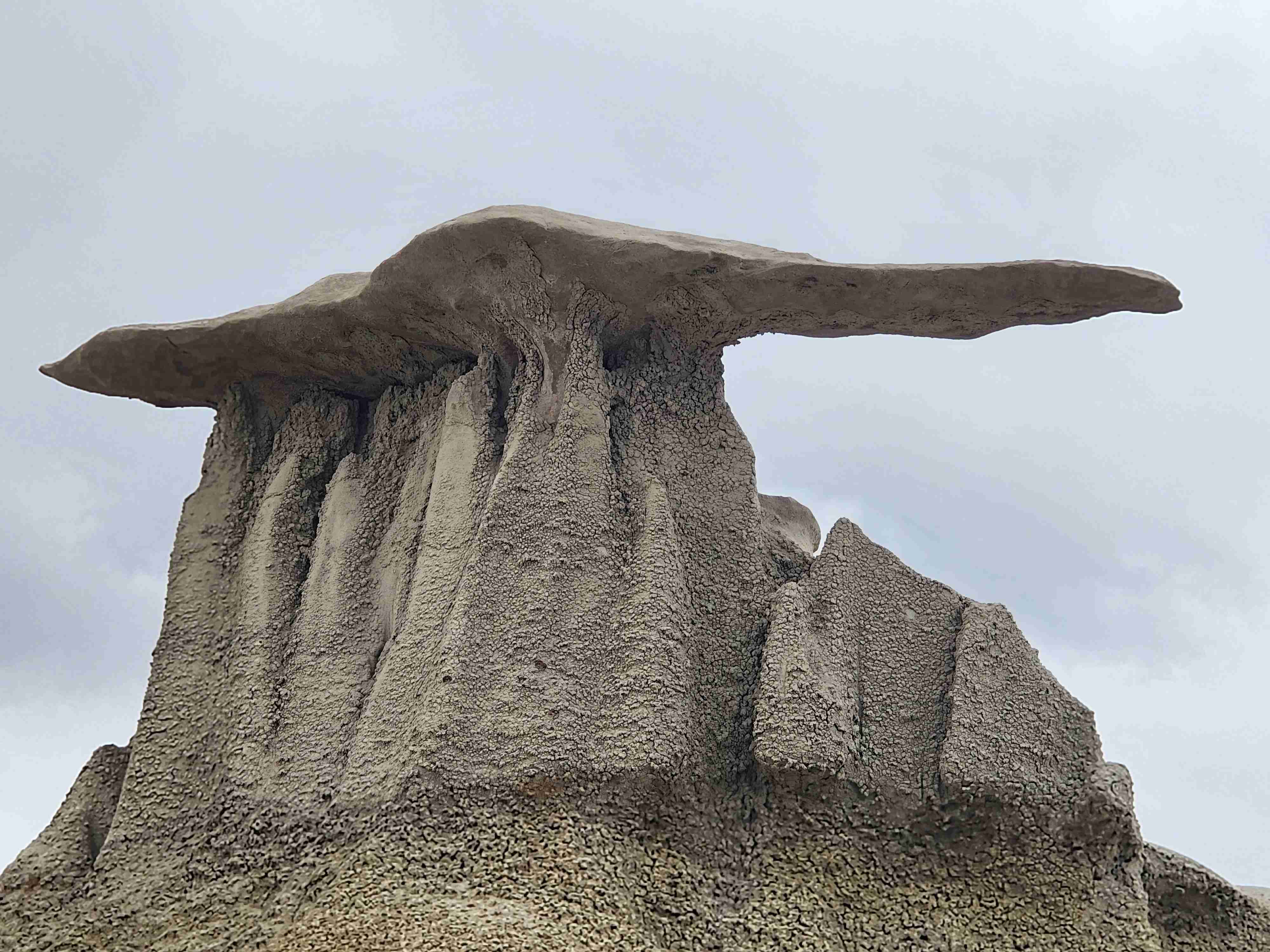 Bisti Badlands Trail