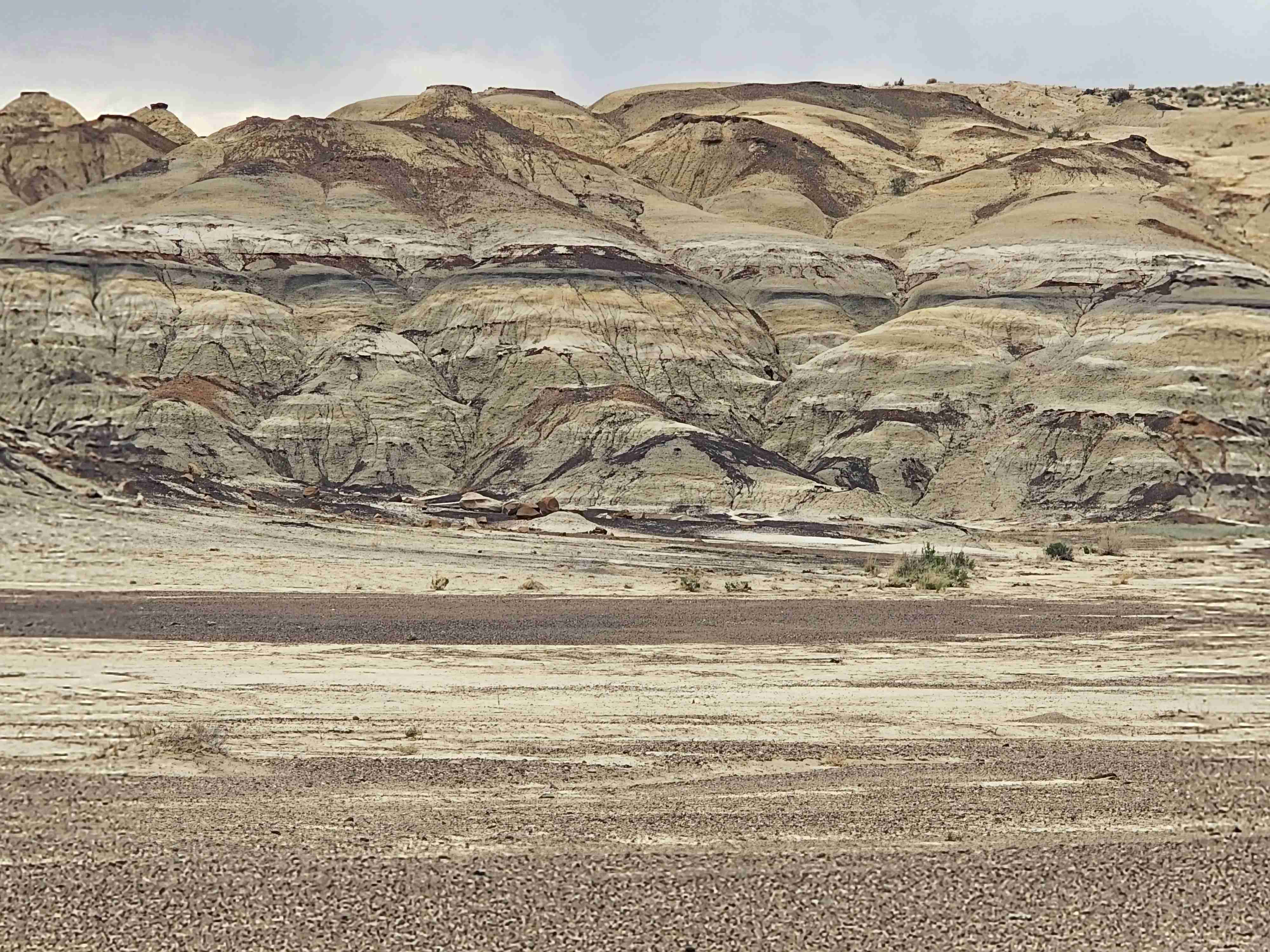 Bisti Badlands Trail