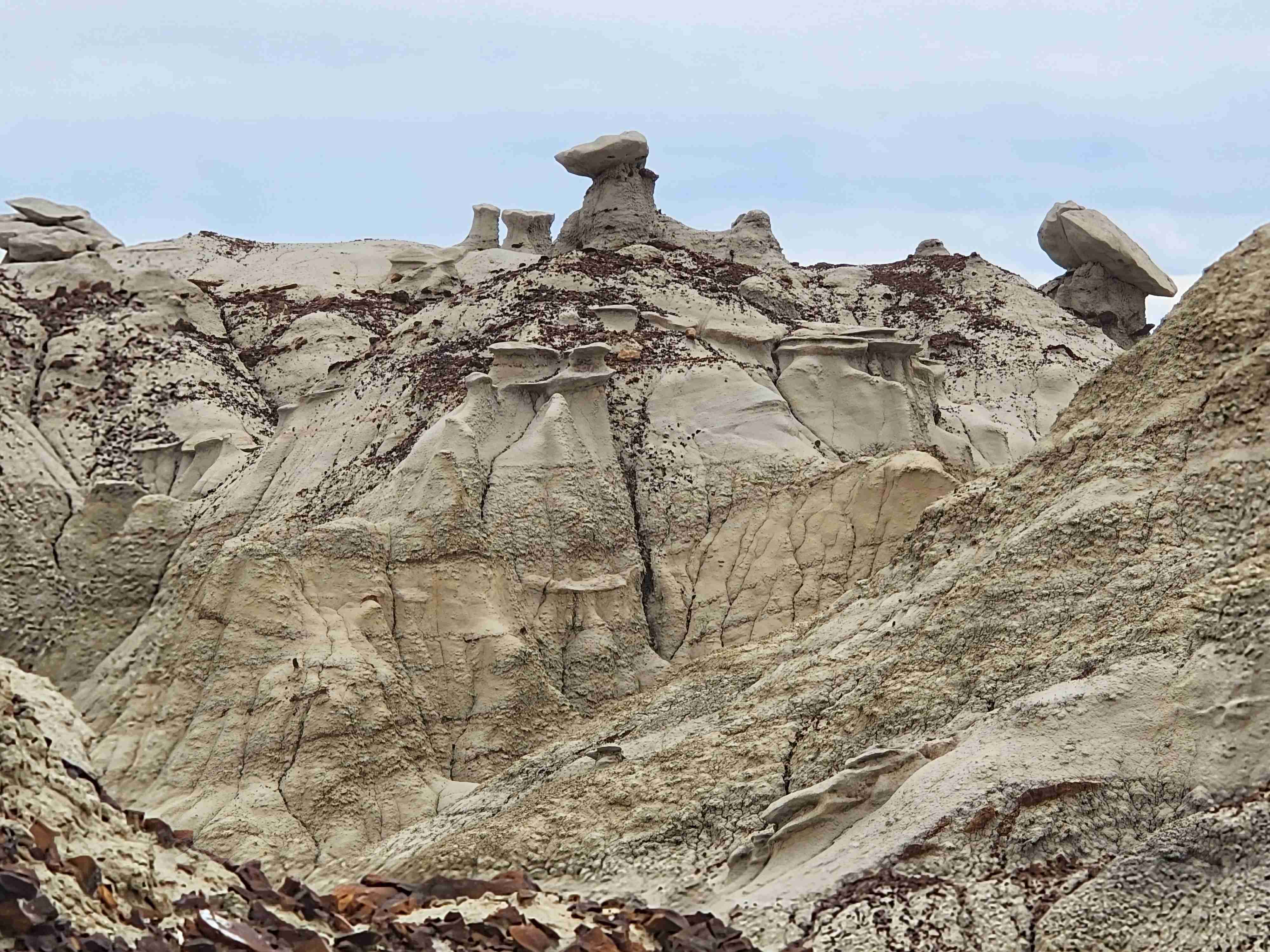 Bisti Badlands Trail