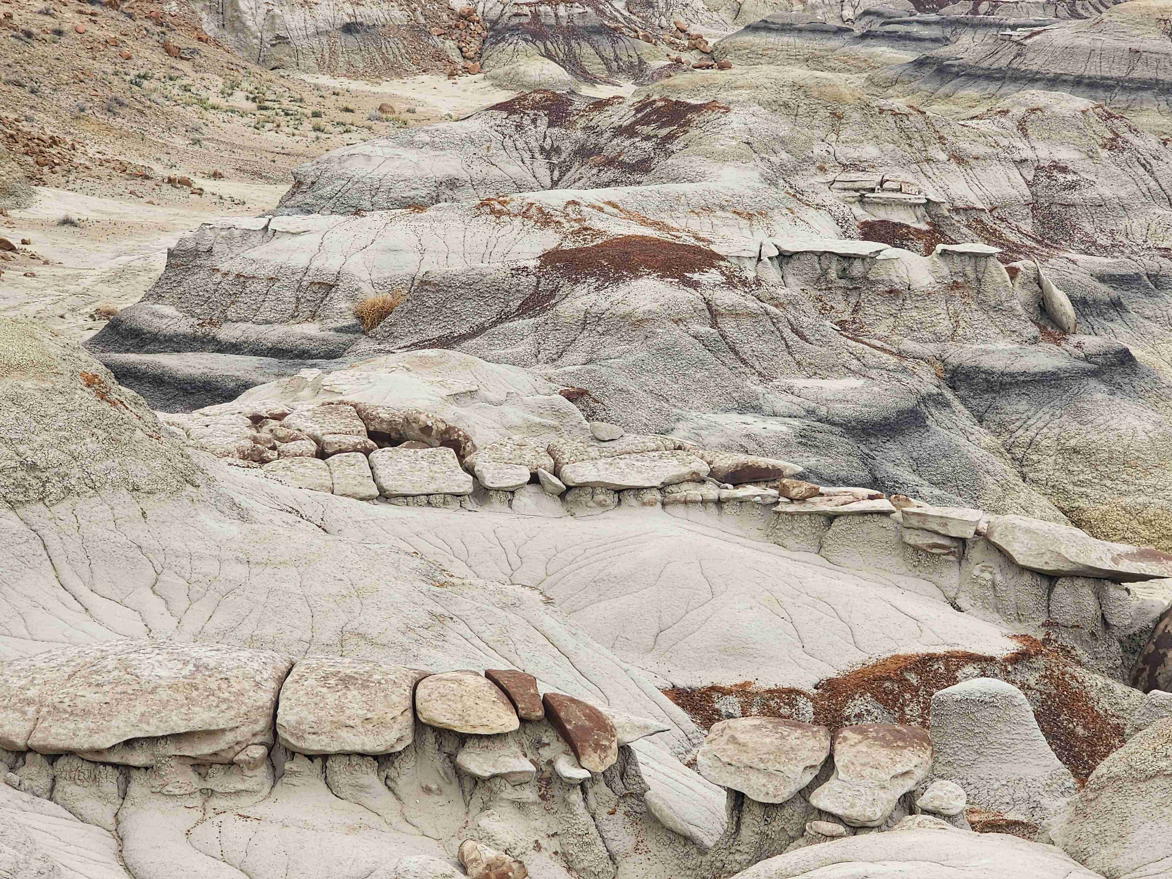 Bisti Badlands Trail