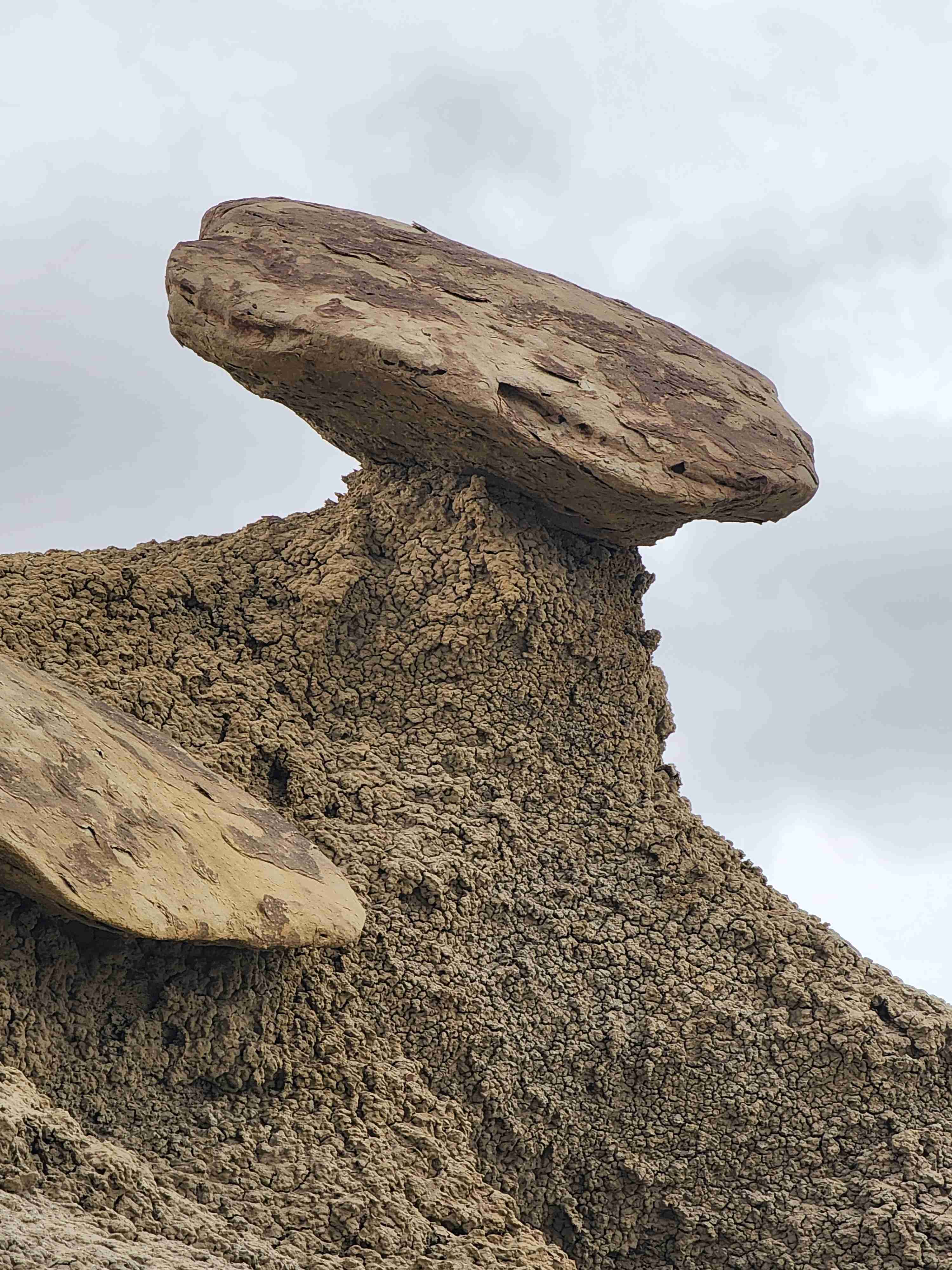 Bisti Badlands Trail