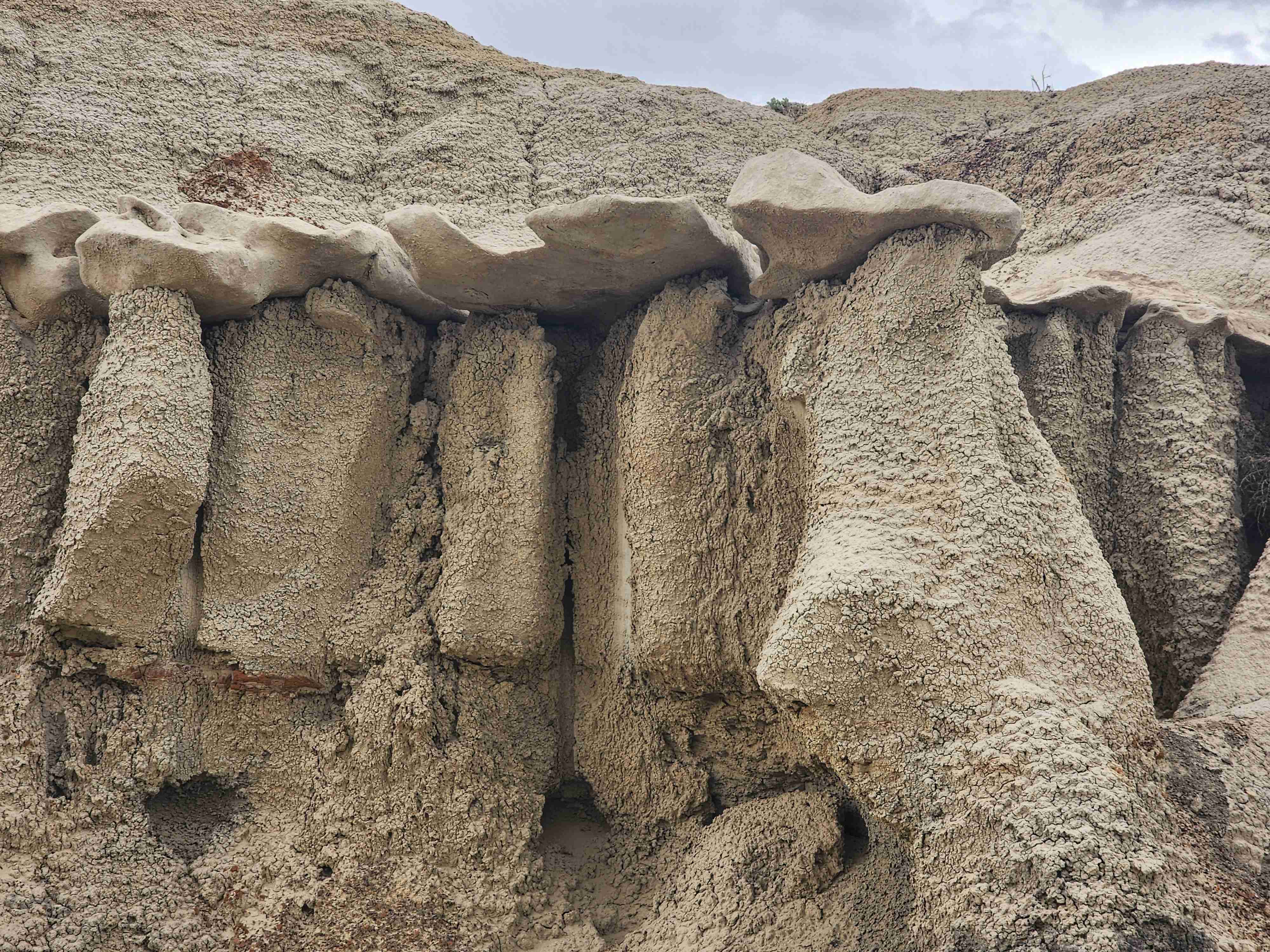 Bisti Badlands Trail