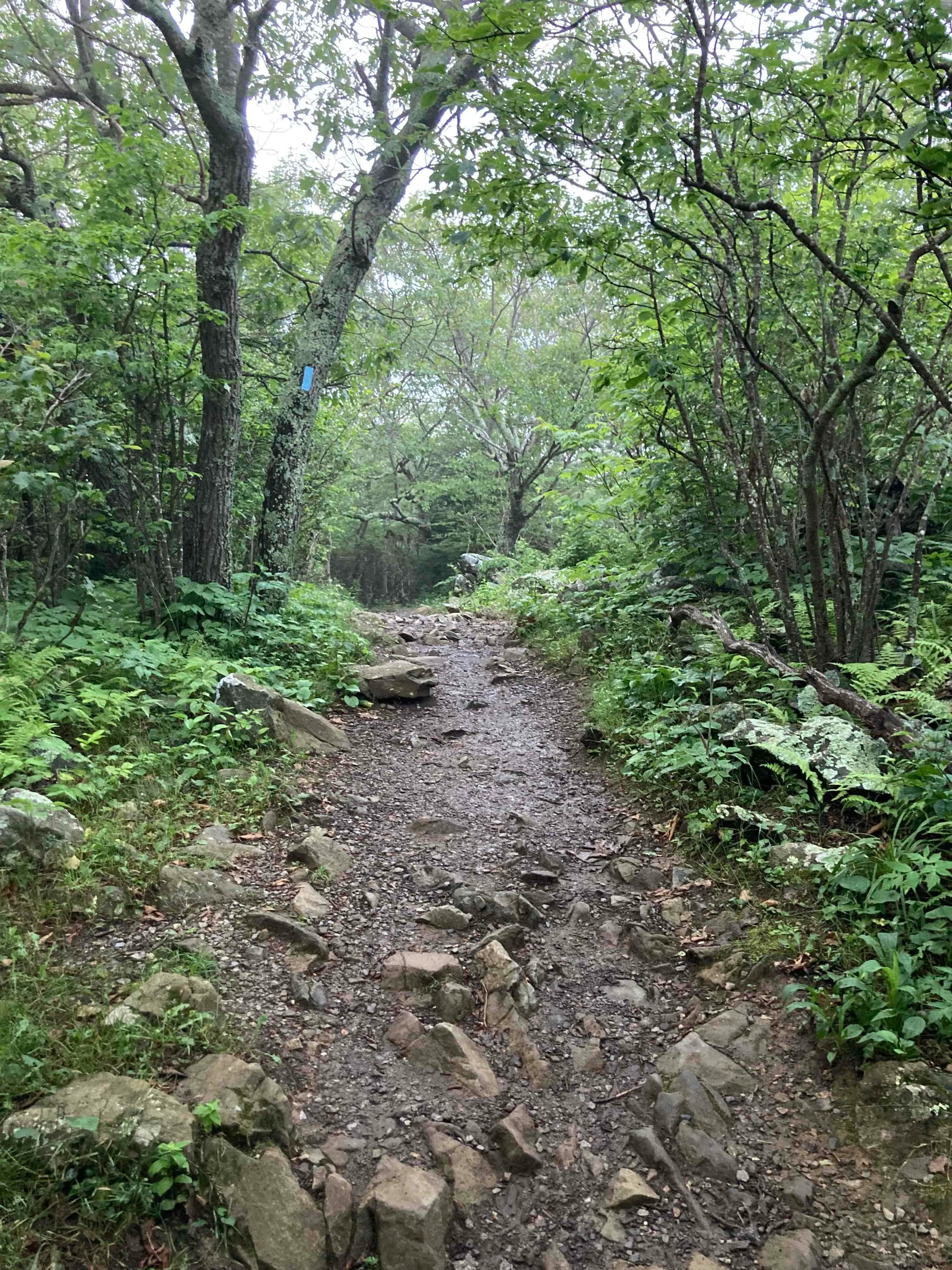 Little Stony Man, Shenandoah National Park 