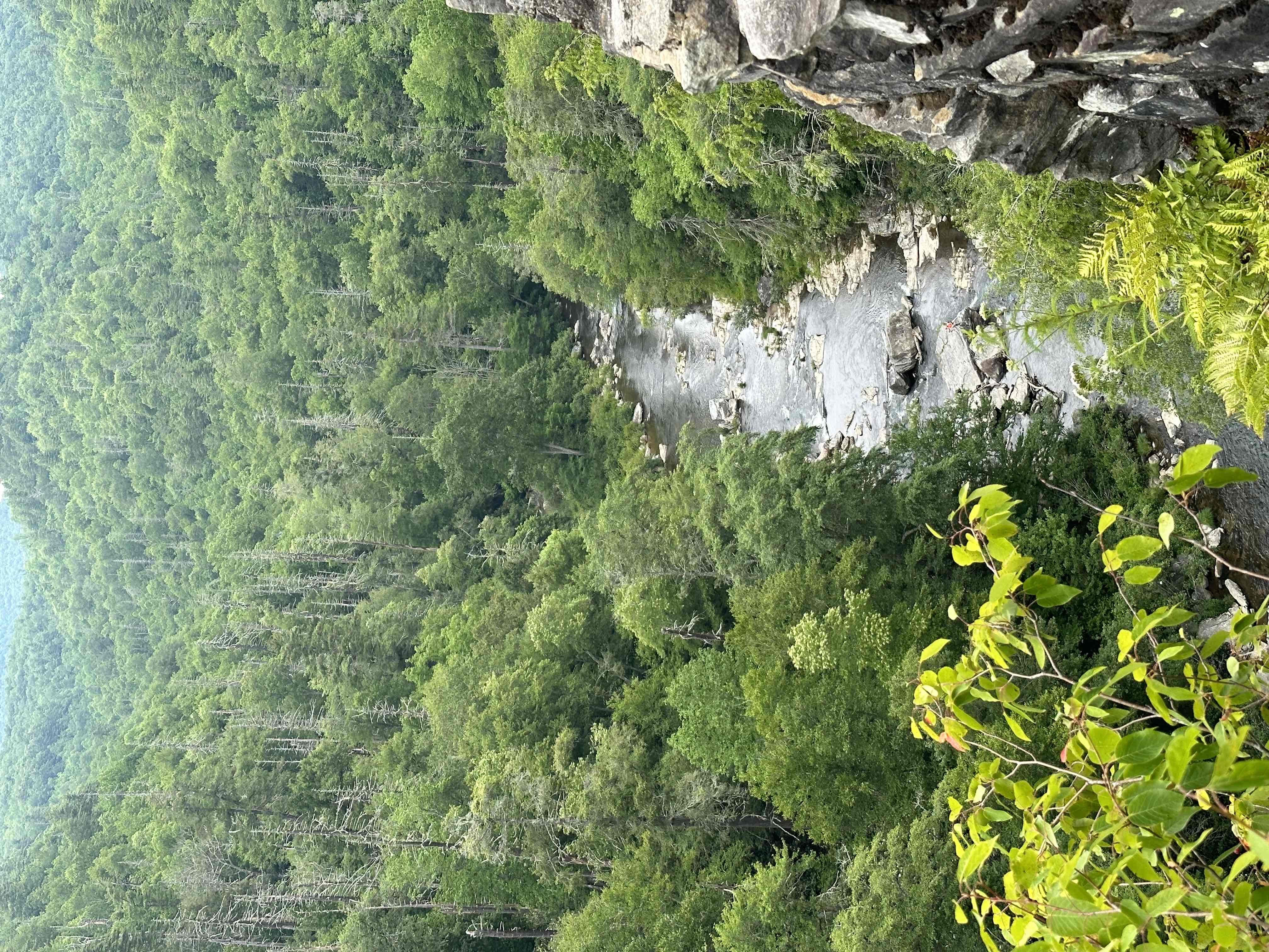 Linville Falls Trail