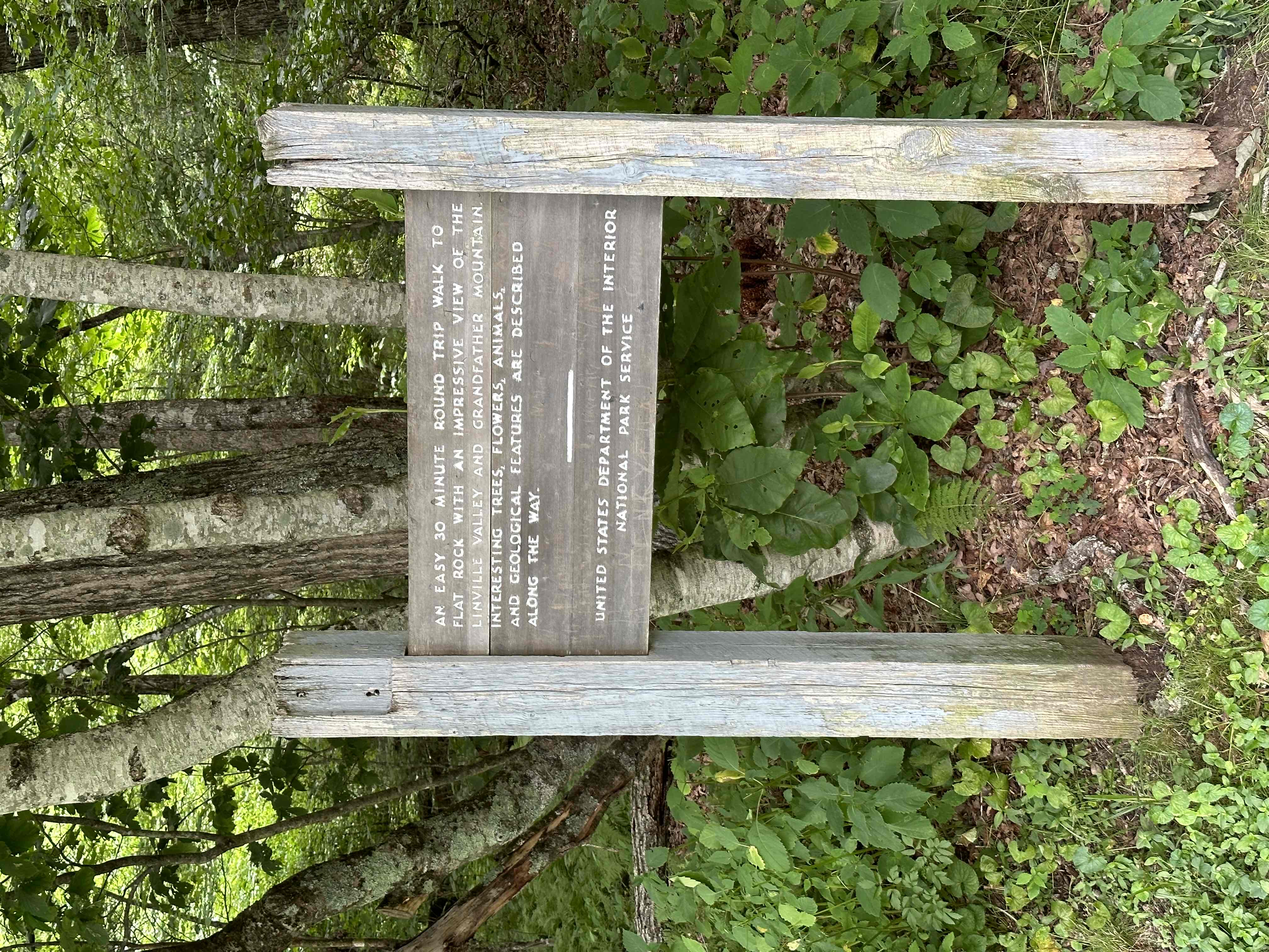 Hike the Flat Rock Trail (NC)