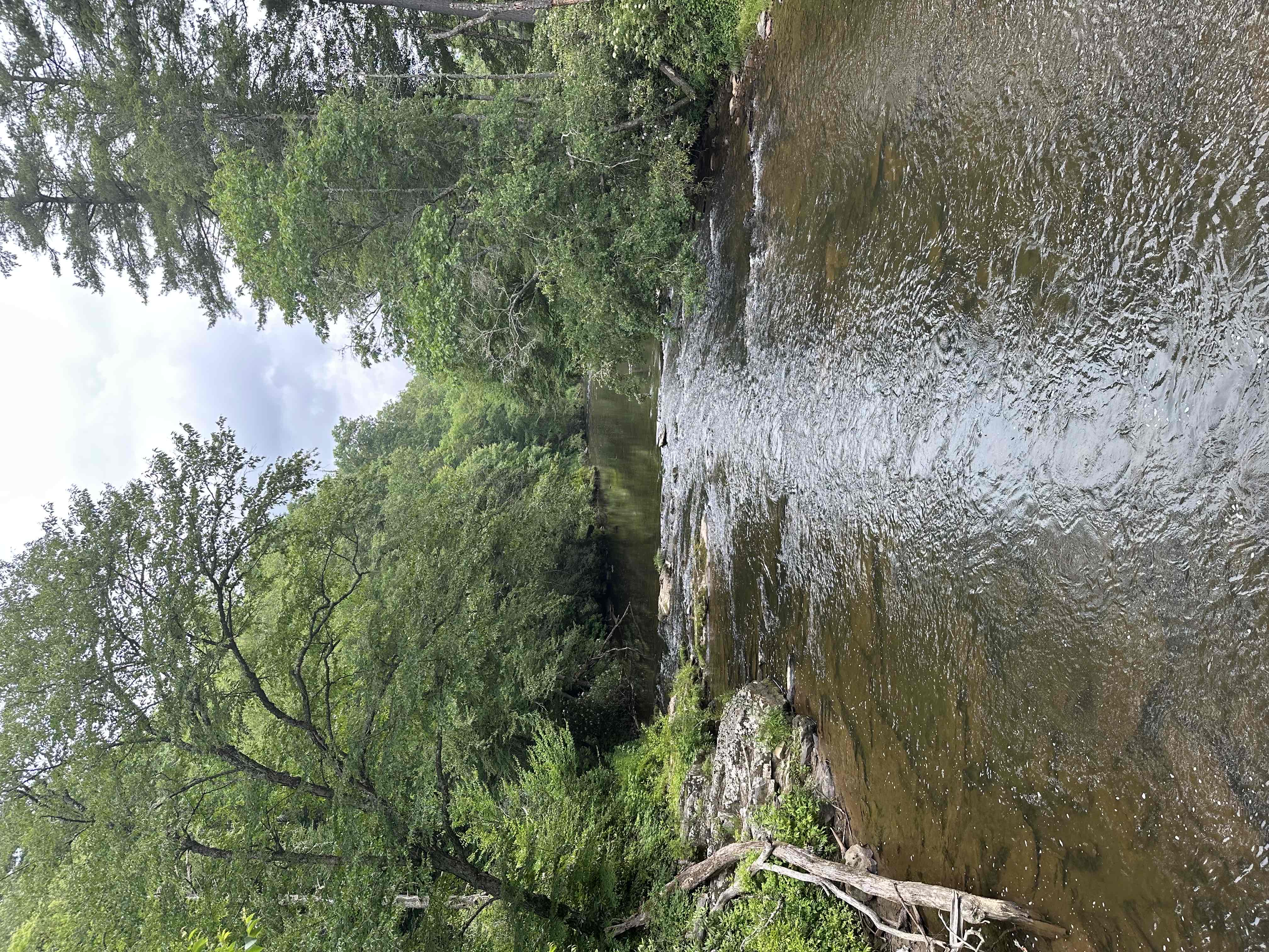 Linville Falls Trail