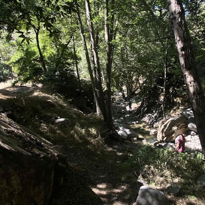 Eaton Canyon to Idlehour Trail Camp