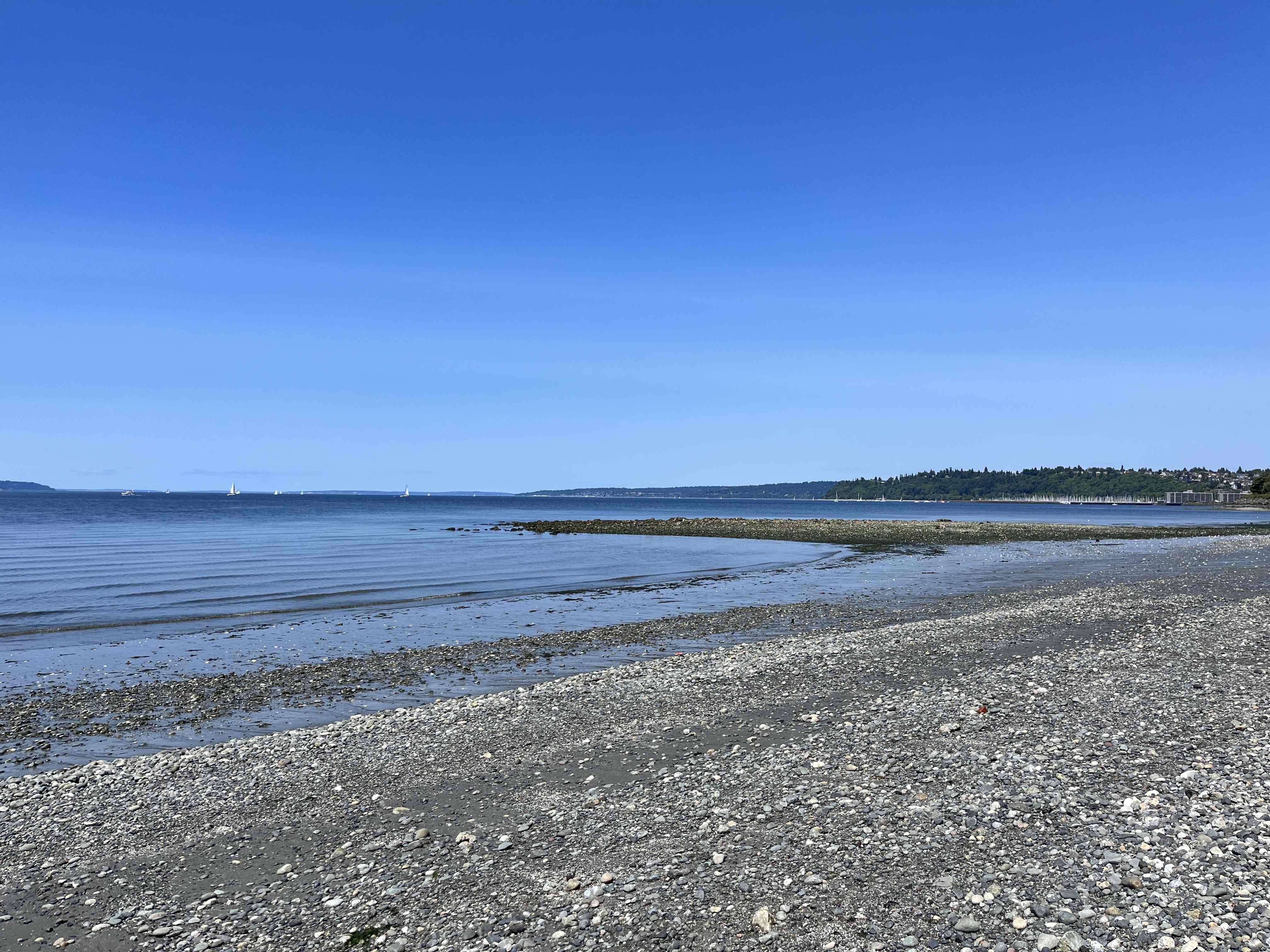 Discovery Park Beach