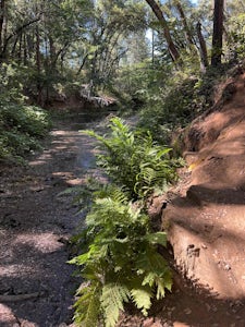 Lake Tabeaud Loop