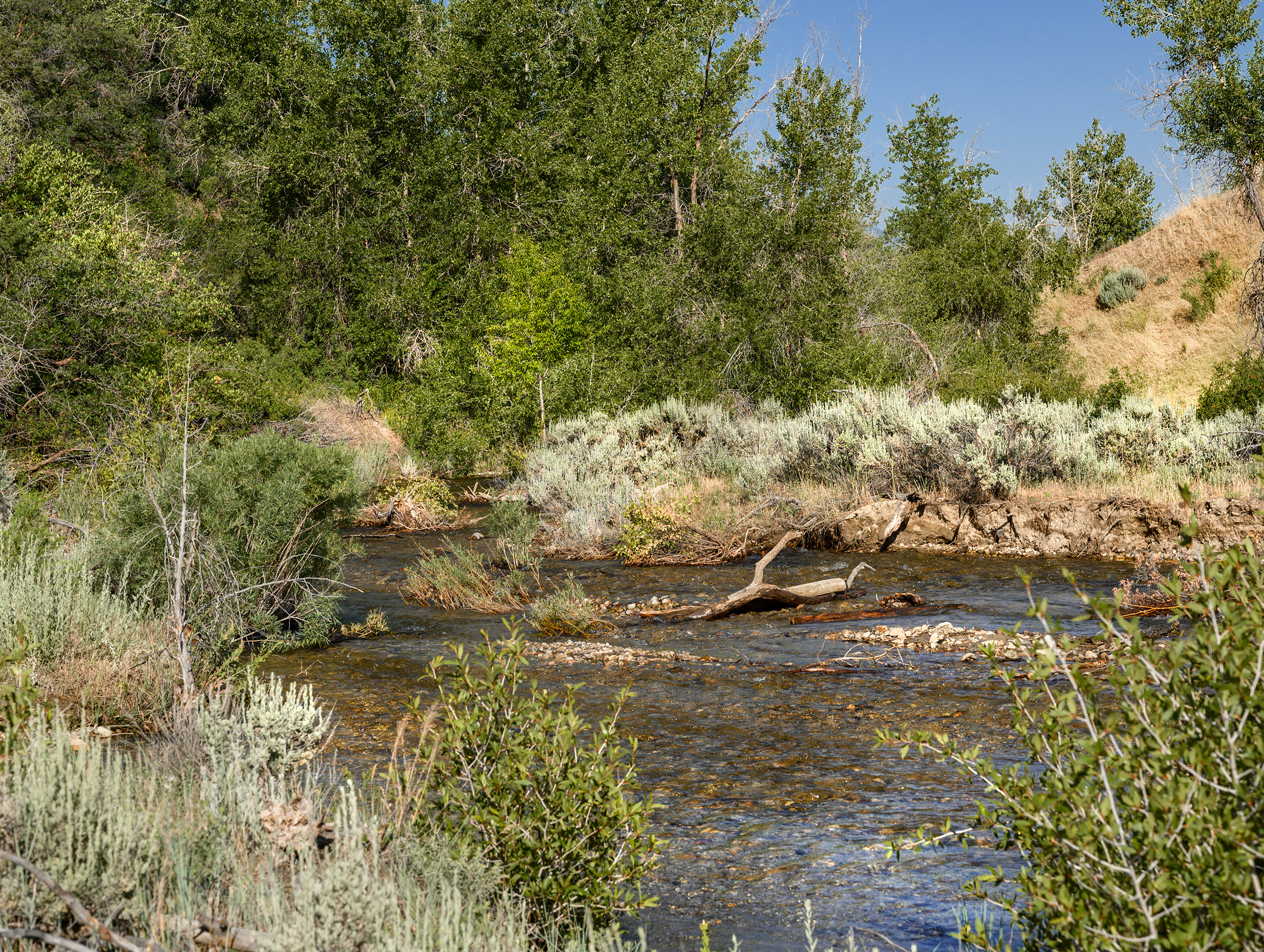 Dimple Dell Trail West